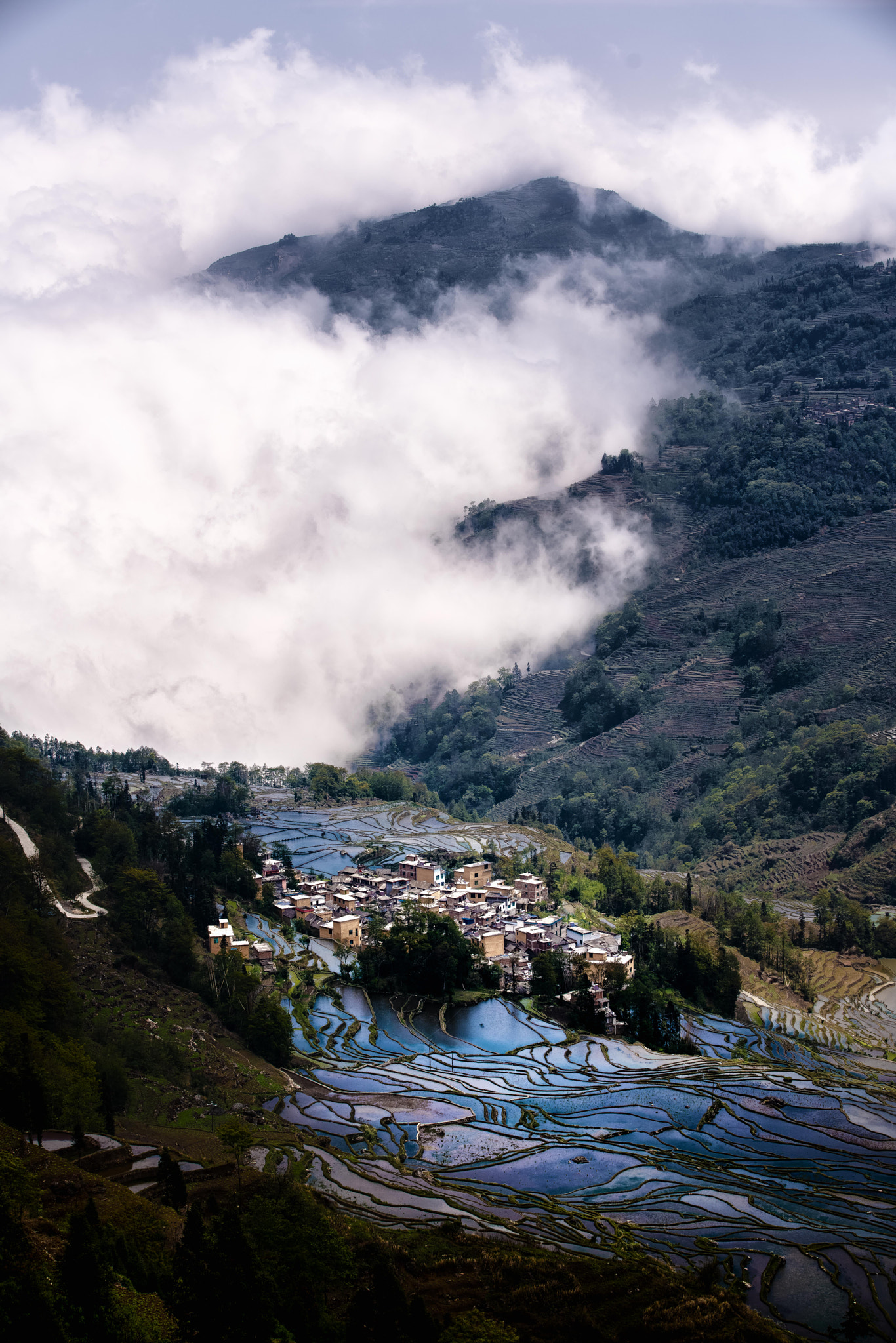 Sony a7R II sample photo. Valley under fog photography