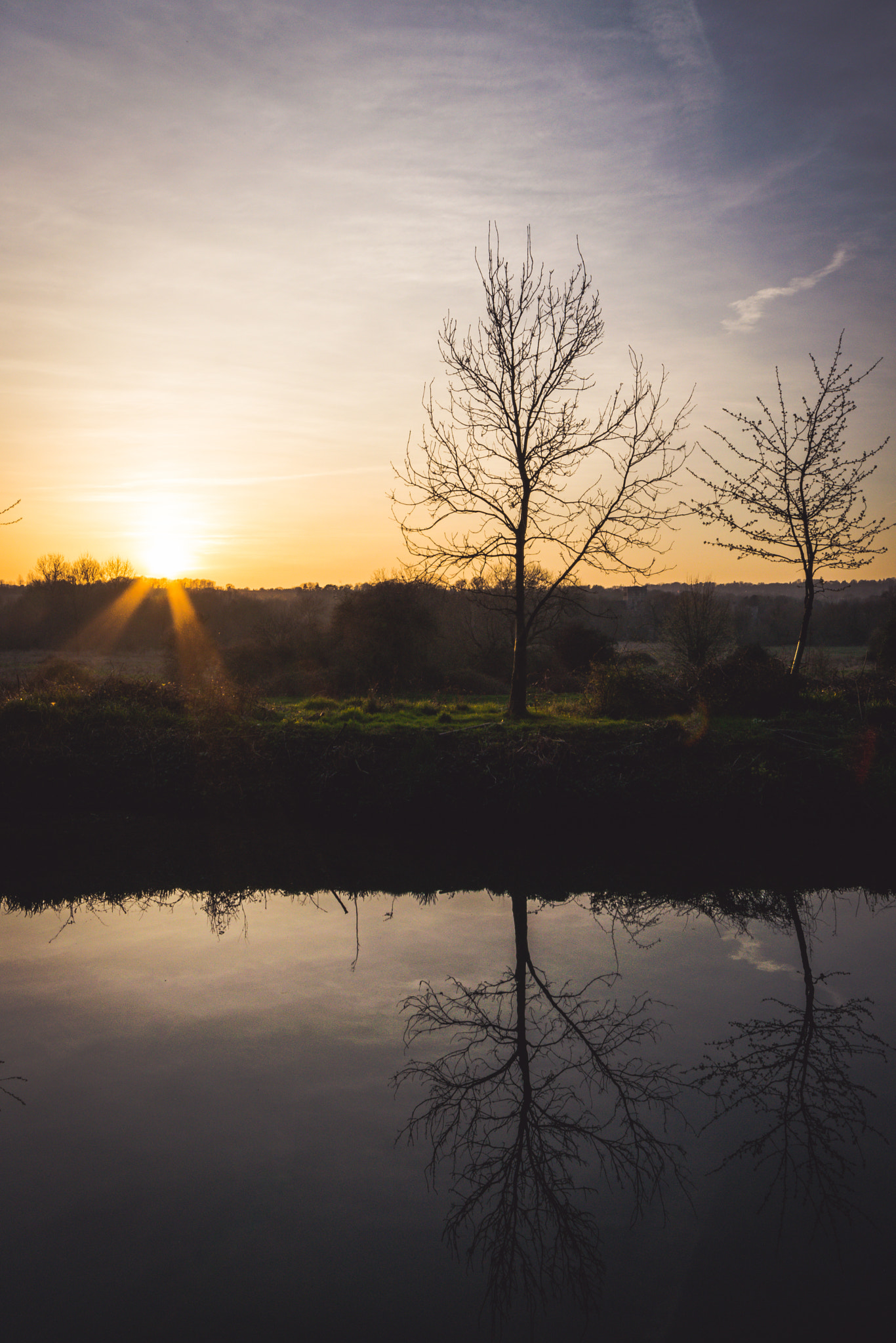 Nikon D5300 + Sigma 10-20mm F4-5.6 EX DC HSM sample photo. Reflected tree photography