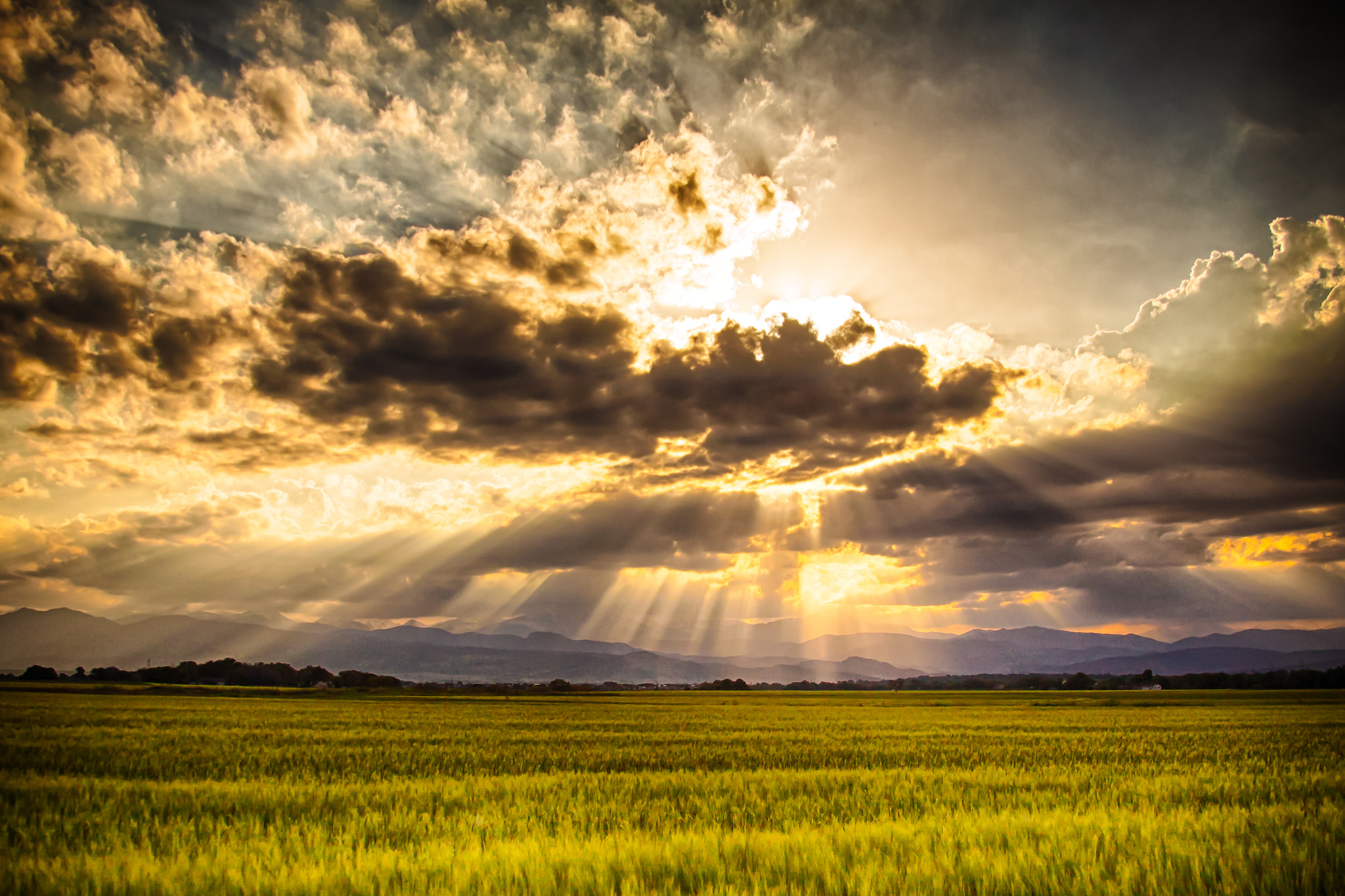 Canon EF 28-135mm F3.5-5.6 IS USM sample photo. Field of my dreams photography