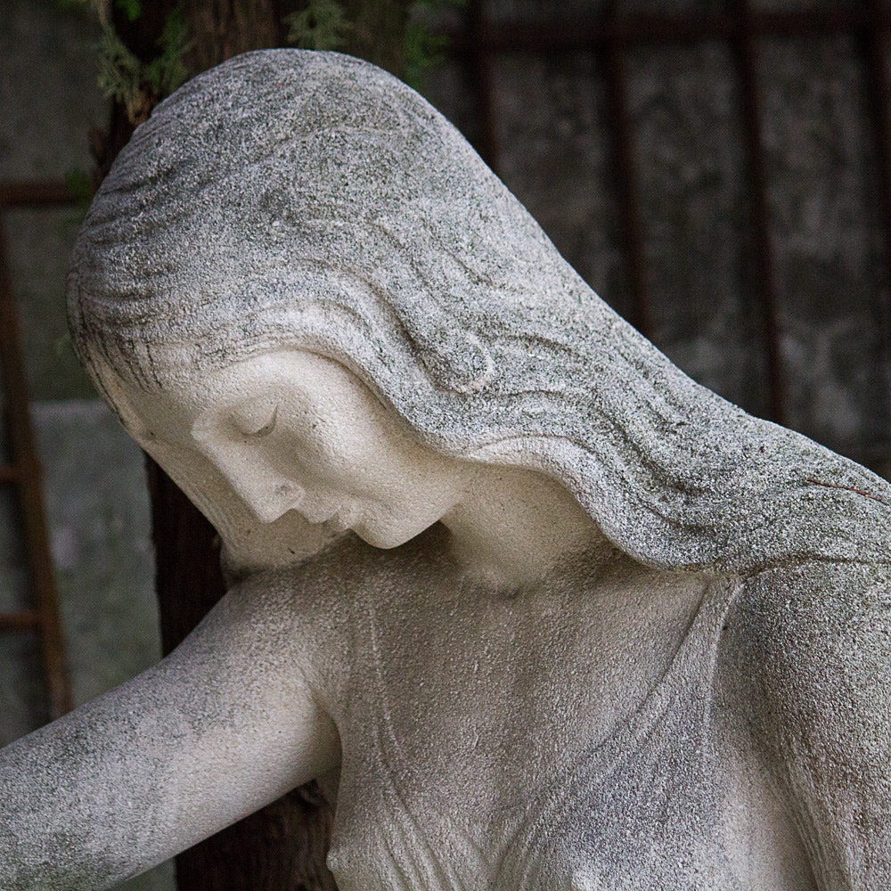 Canon EF-S 55-250mm F4-5.6 IS sample photo. Sculpture photography