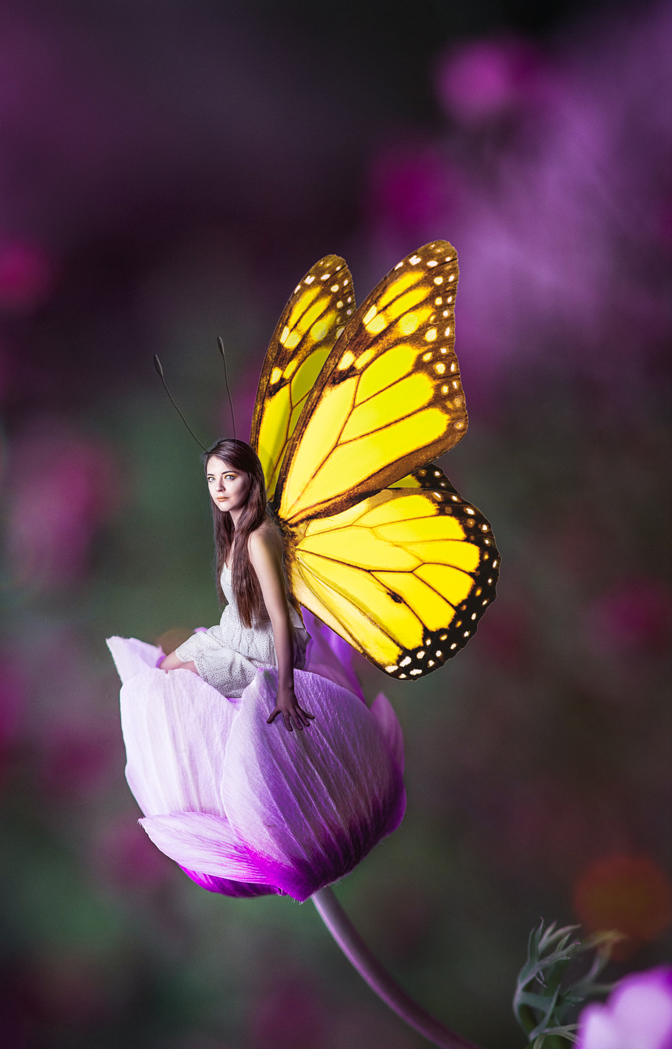 Sony a7S + Sony Distagon T* FE 35mm F1.4 ZA sample photo. The rare, yellow winged pandorafly photography