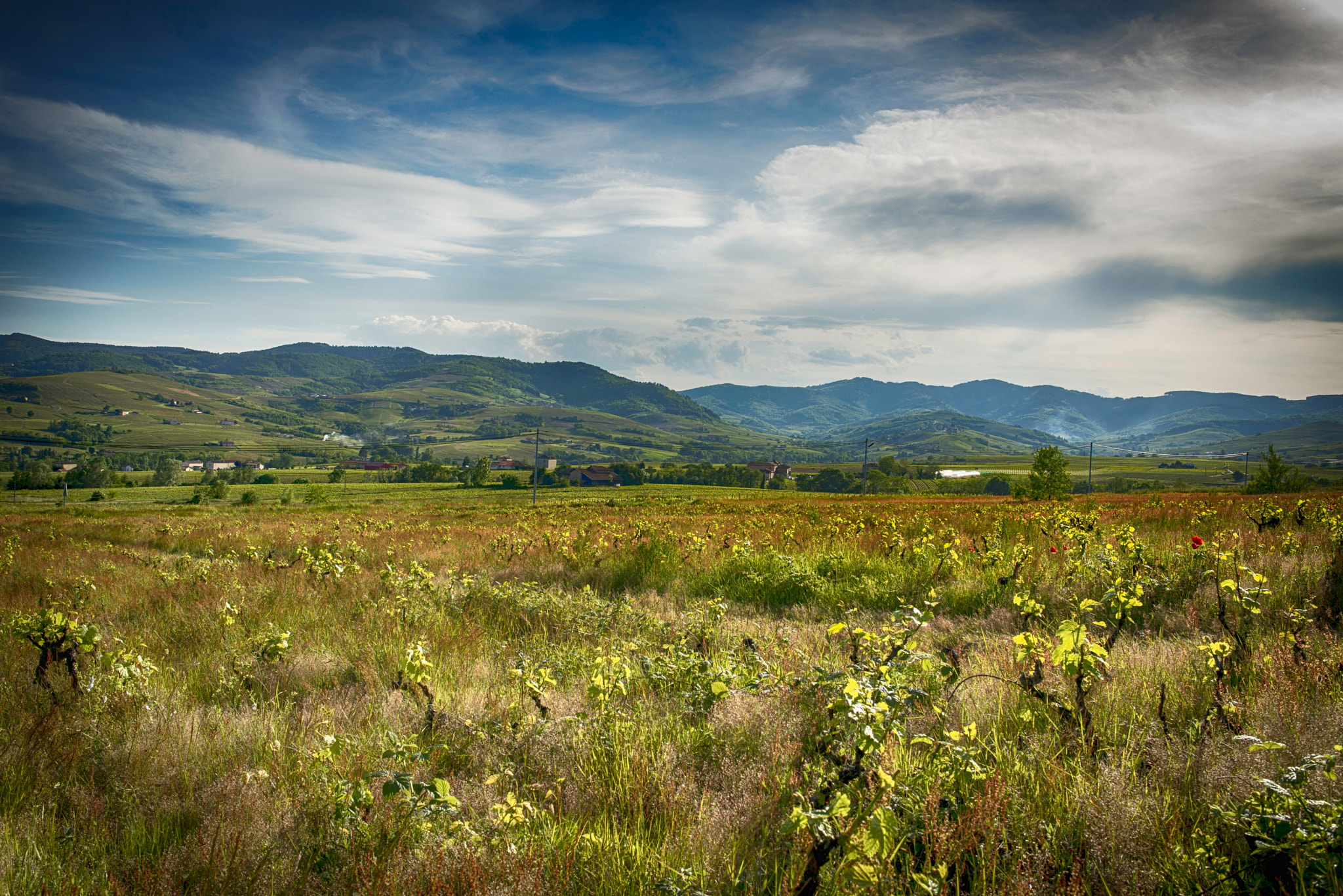 Nikon D800E + Nikon AF-S Nikkor 28mm F1.8G sample photo. Les monts du beaujolais photography