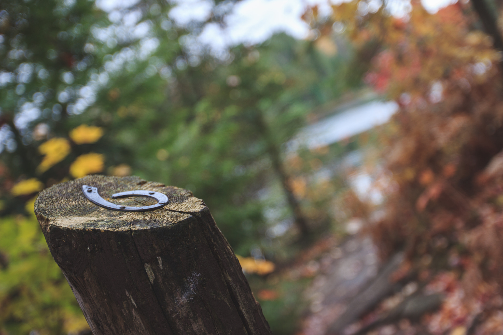 Canon EF 16-35mm F2.8L II USM sample photo. Six photography