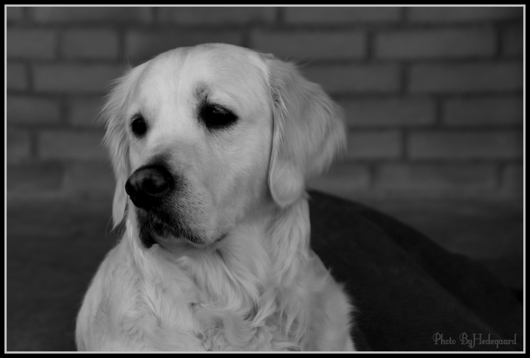 Nikon D5500 sample photo. L u n a photography
