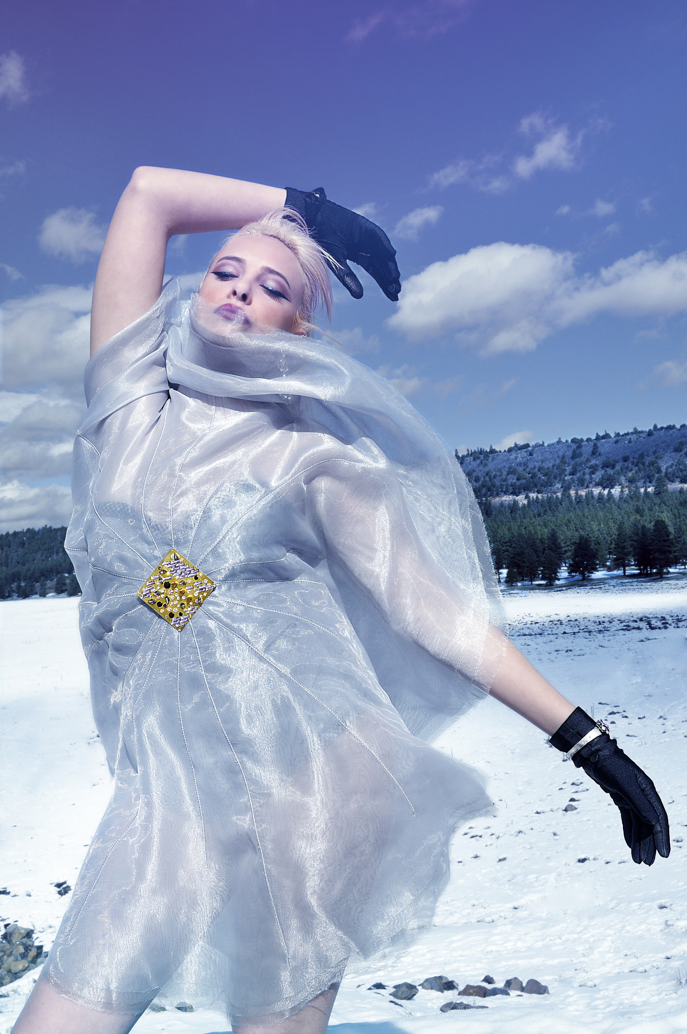 Nikon D90 sample photo. Snow flake photography