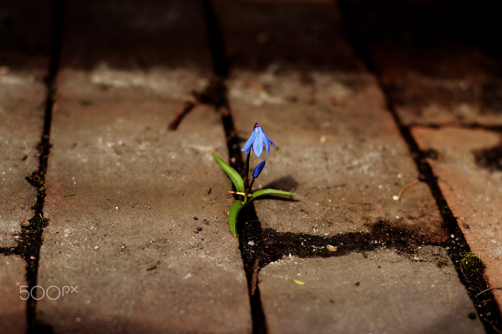 Canon EF 50mm F1.4 USM sample photo. Breakthrough photography