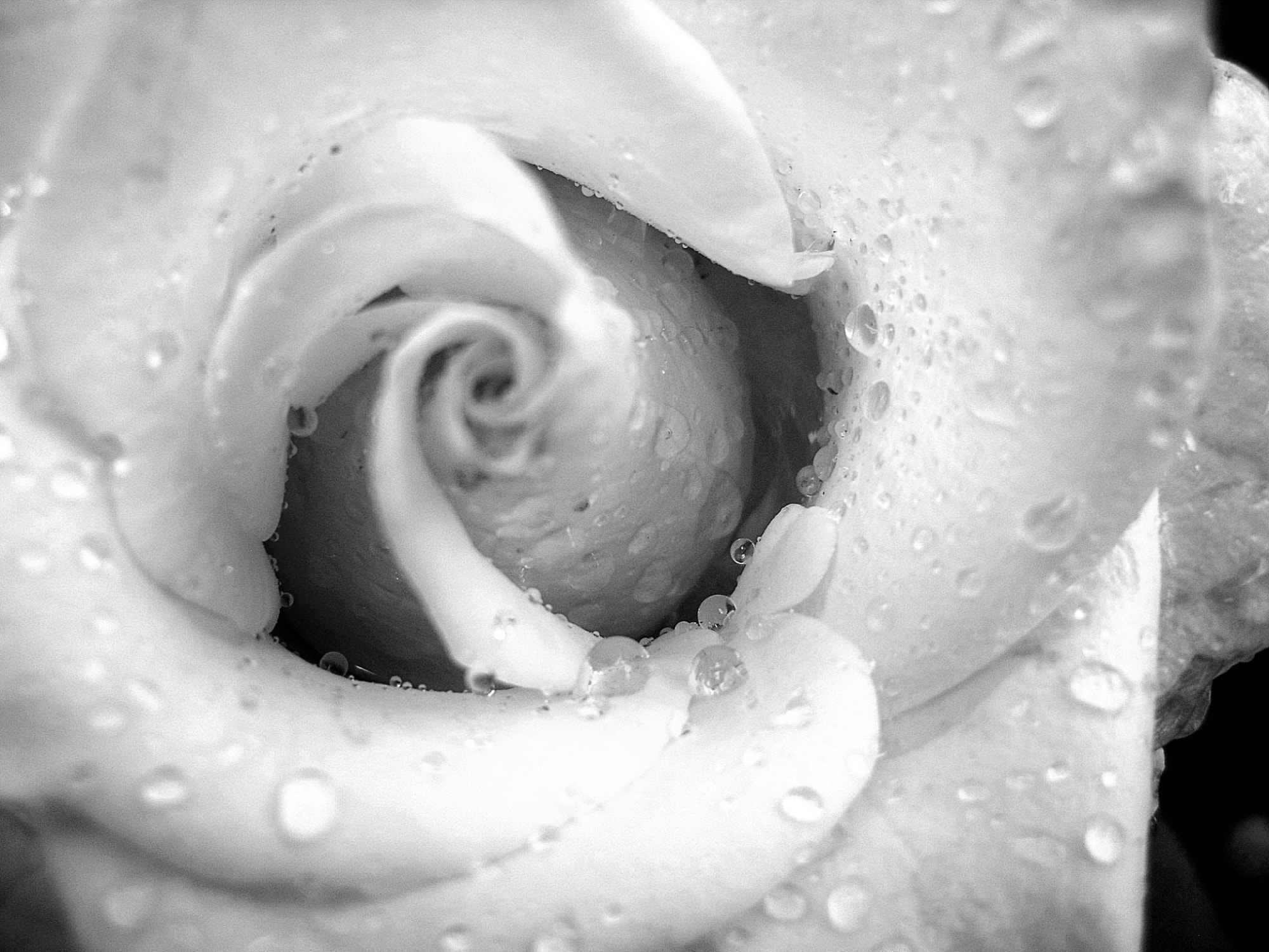 Samsung ES20/ VLUU ES20/  SL35 sample photo. Sam photography
