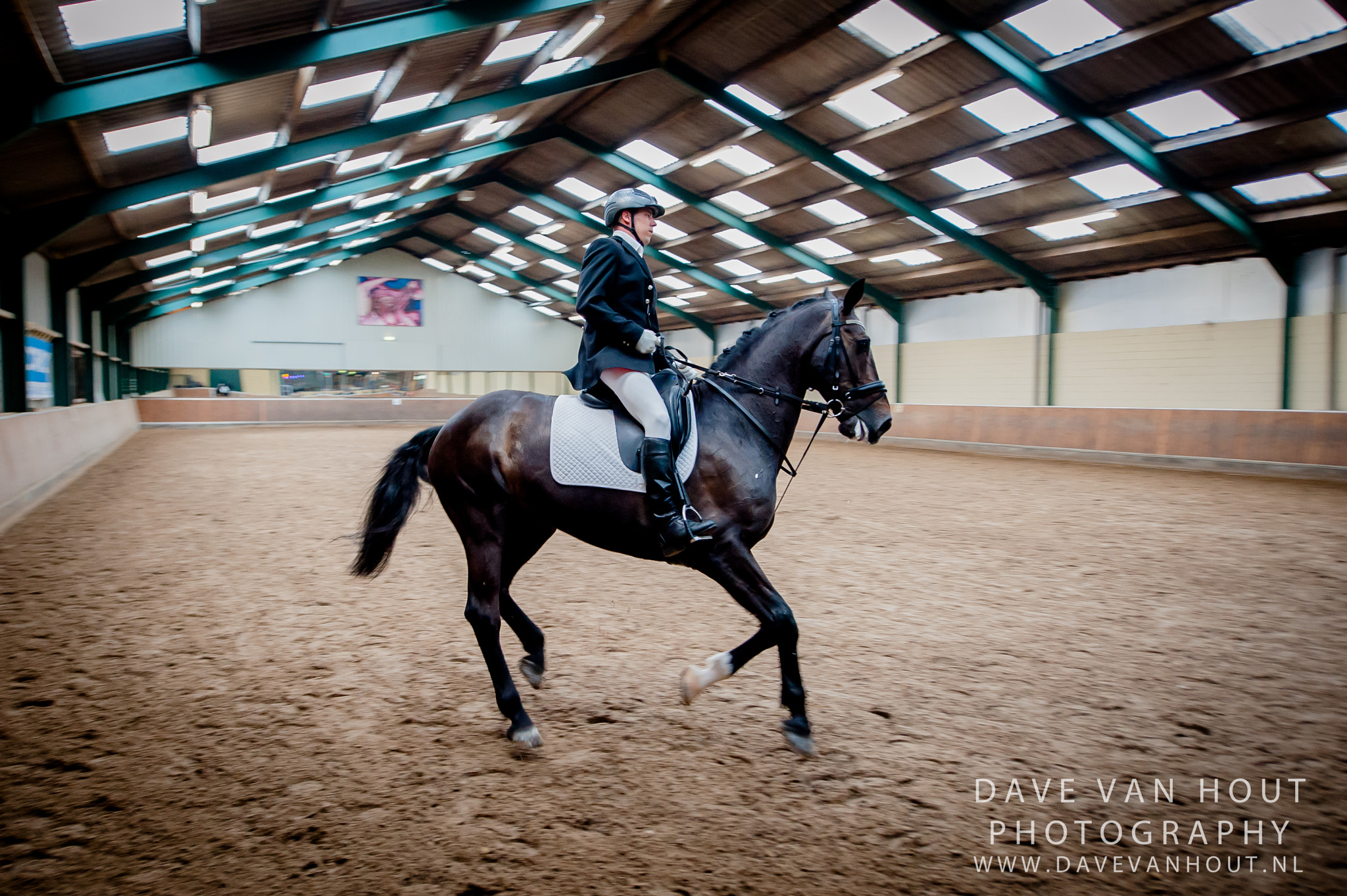 Nikon D700 + Nikon AF-S Nikkor 14-24mm F2.8G ED sample photo. Volwassene drie king stables photography