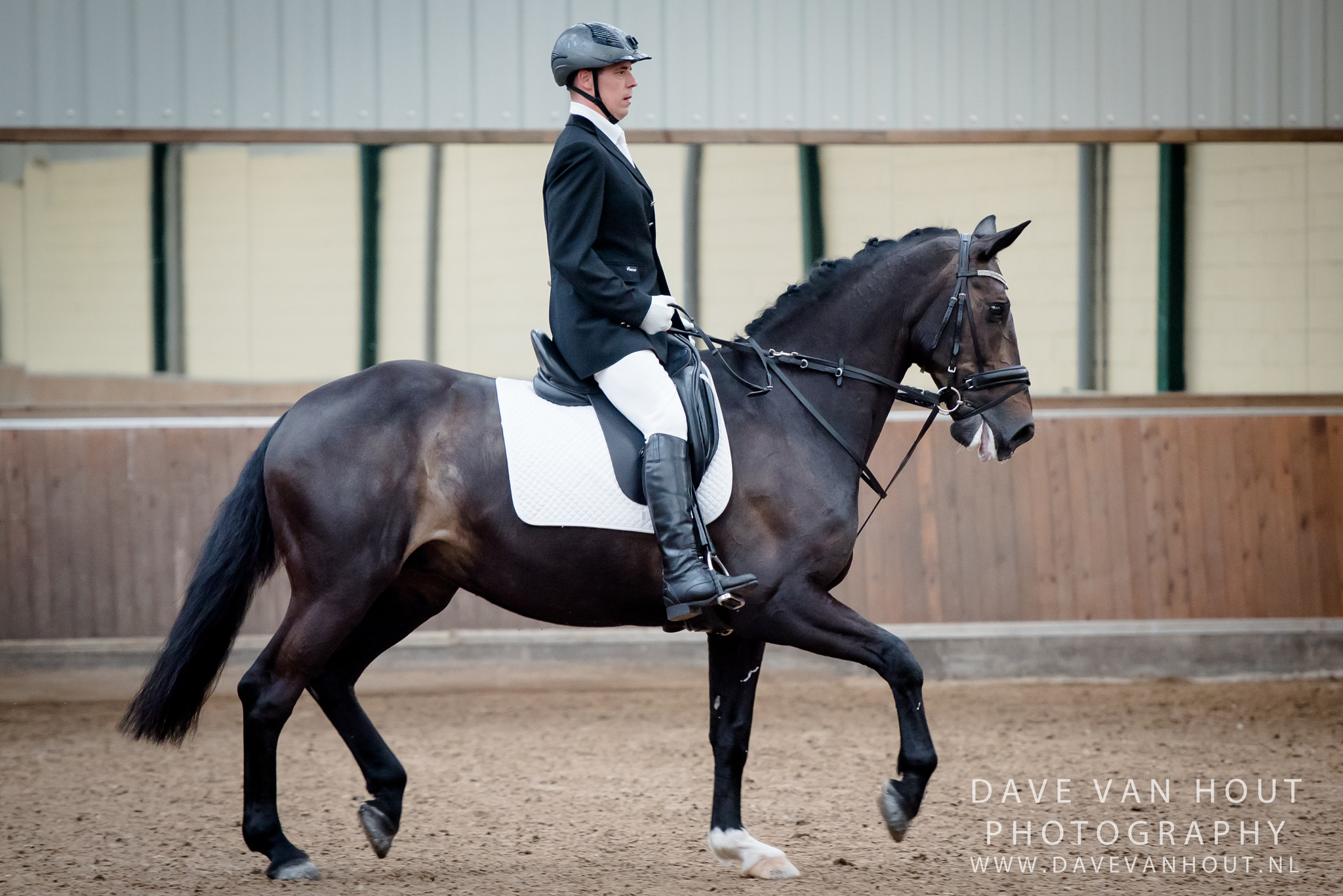 Nikon AF-S Nikkor 70-200mm F2.8G ED VR II sample photo. Volwassene drie king stables photography