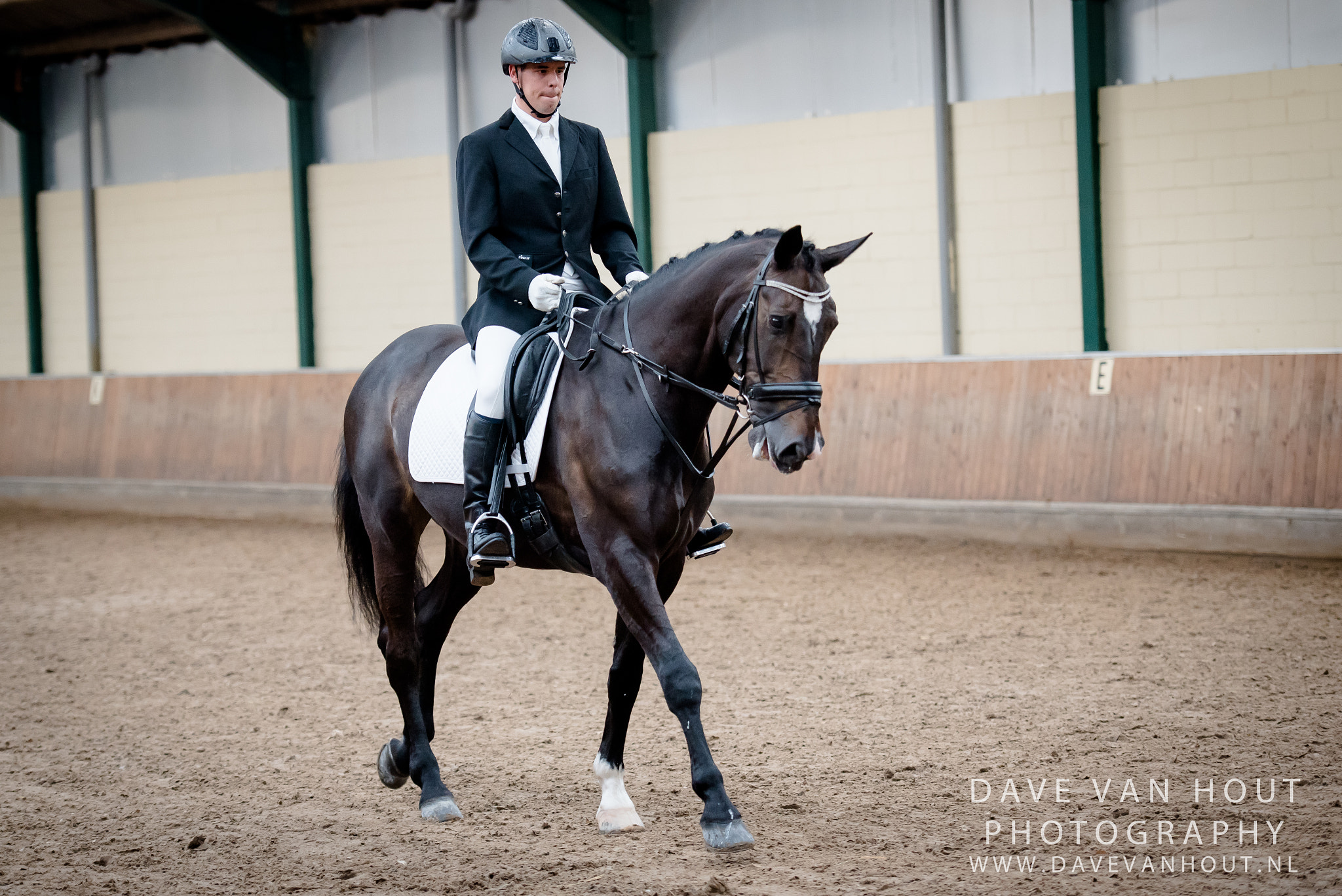 Nikon AF-S Nikkor 70-200mm F2.8G ED VR II sample photo. Volwassene drie king stables photography