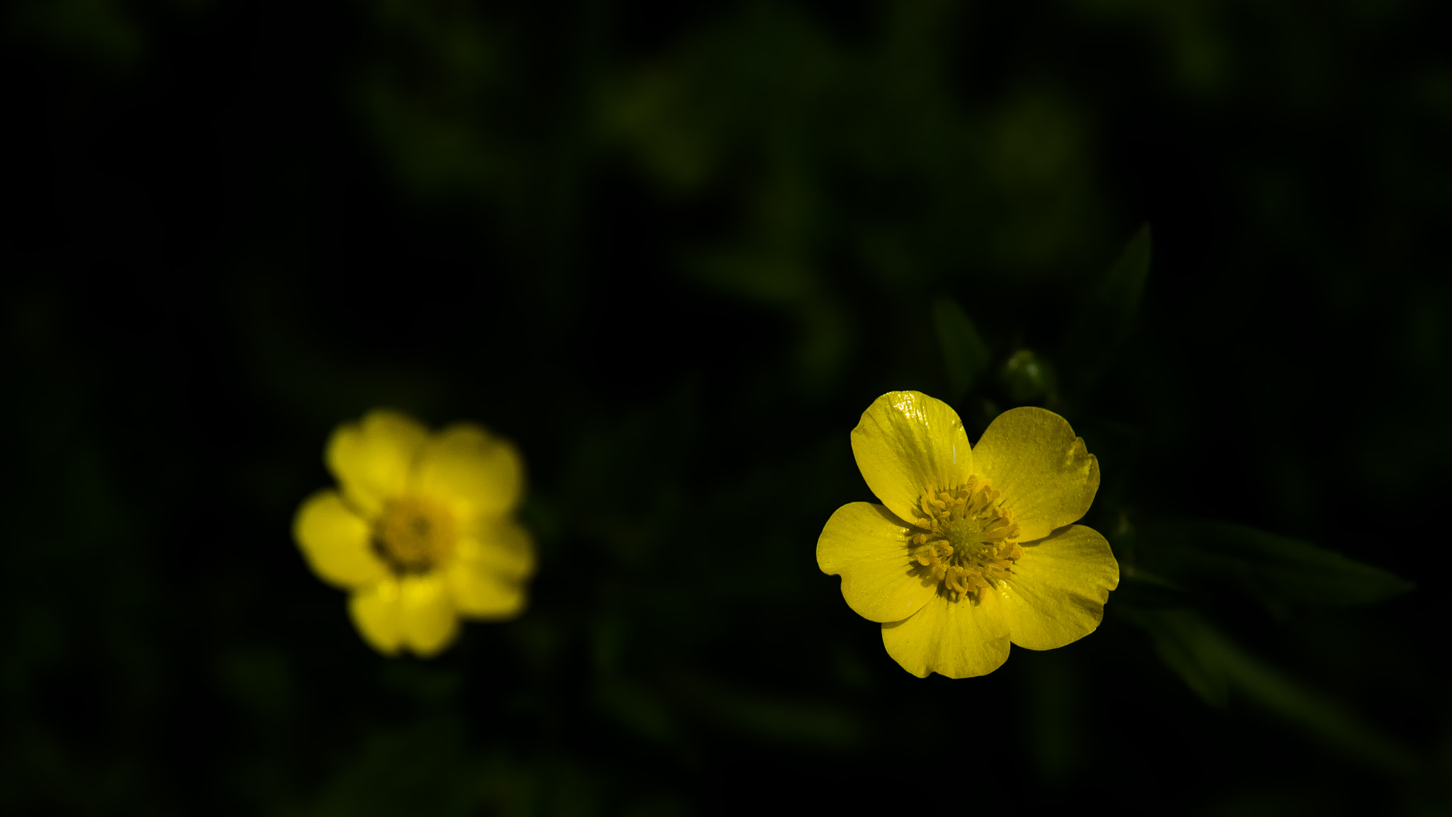 Pentax K-S2 sample photo