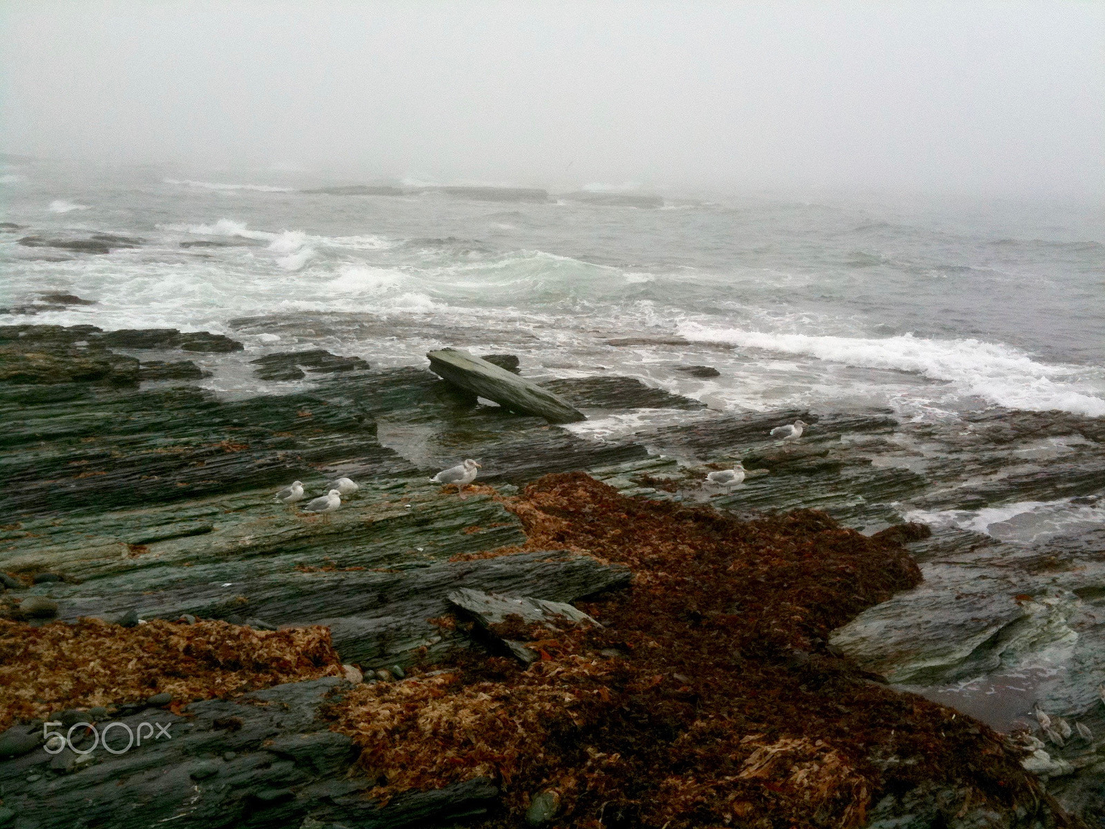 Apple iPhone 3GS sample photo. New england fog rolling in over the ocean in fall photography