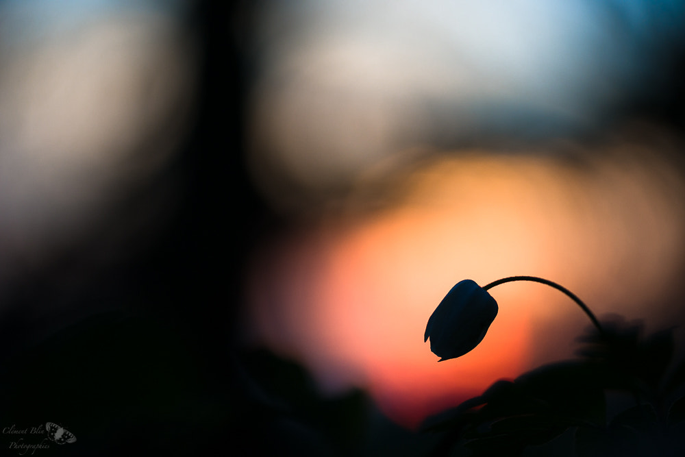 105mm F2.8 sample photo. Ready for the night photography