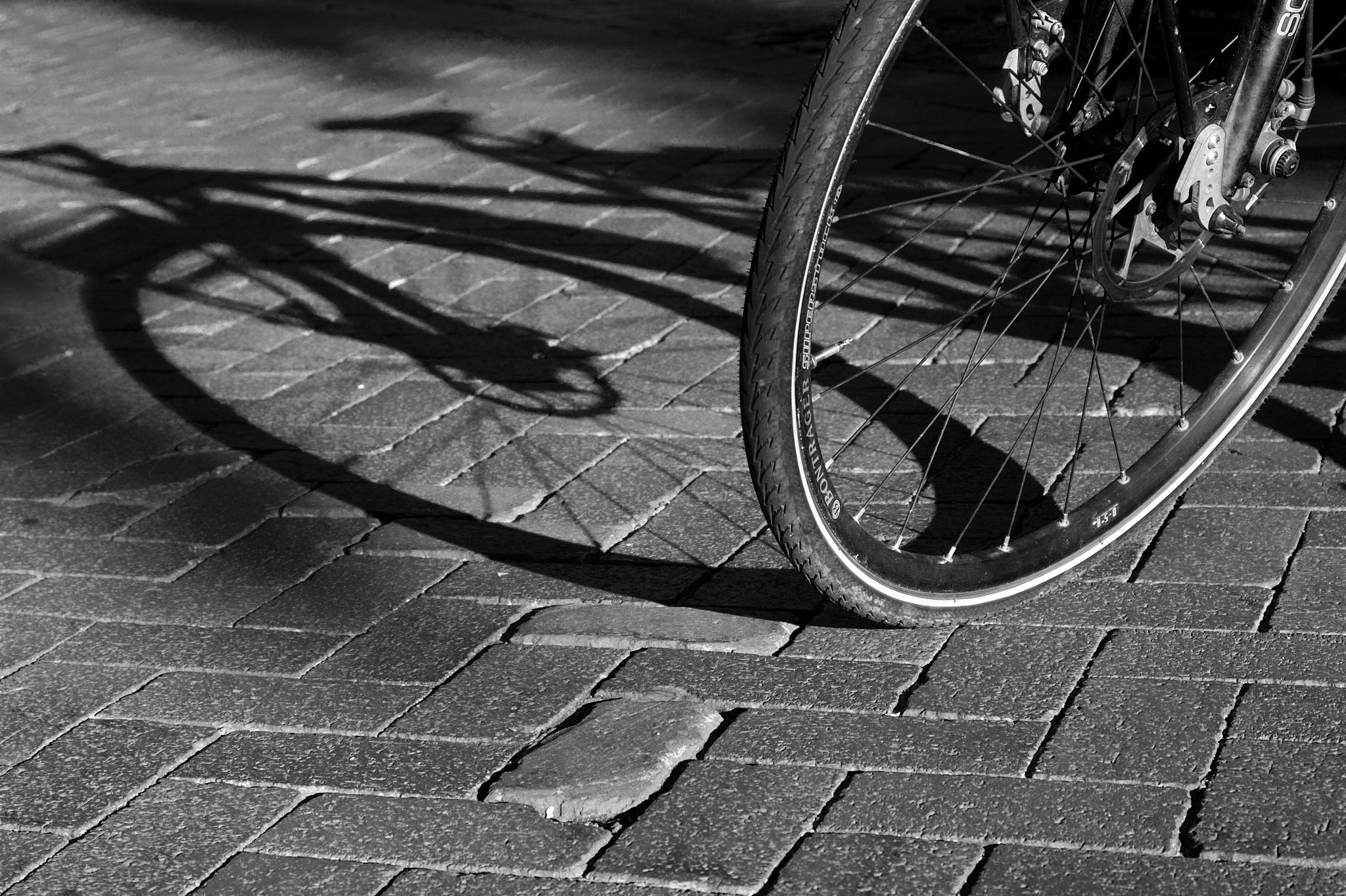 Canon EF 28-80mm f/2.8-4L sample photo. Biketrial photography