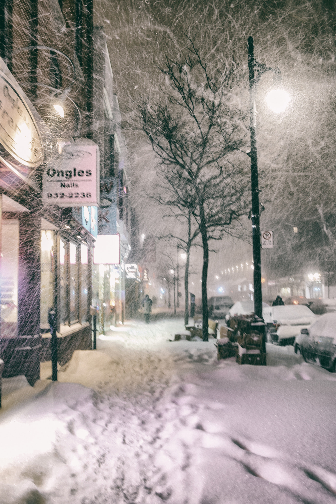Sigma 17-50mm F2.8 EX DC OS HSM sample photo. Path in blizzard photography
