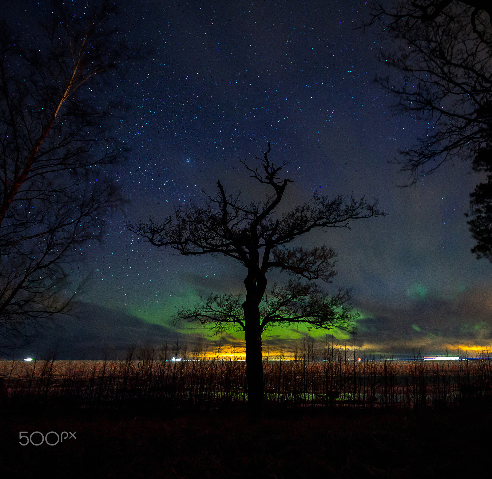 Canon EOS 60D + Sigma 17-70mm F2.8-4 DC Macro OS HSM | C sample photo. Northern lights photography