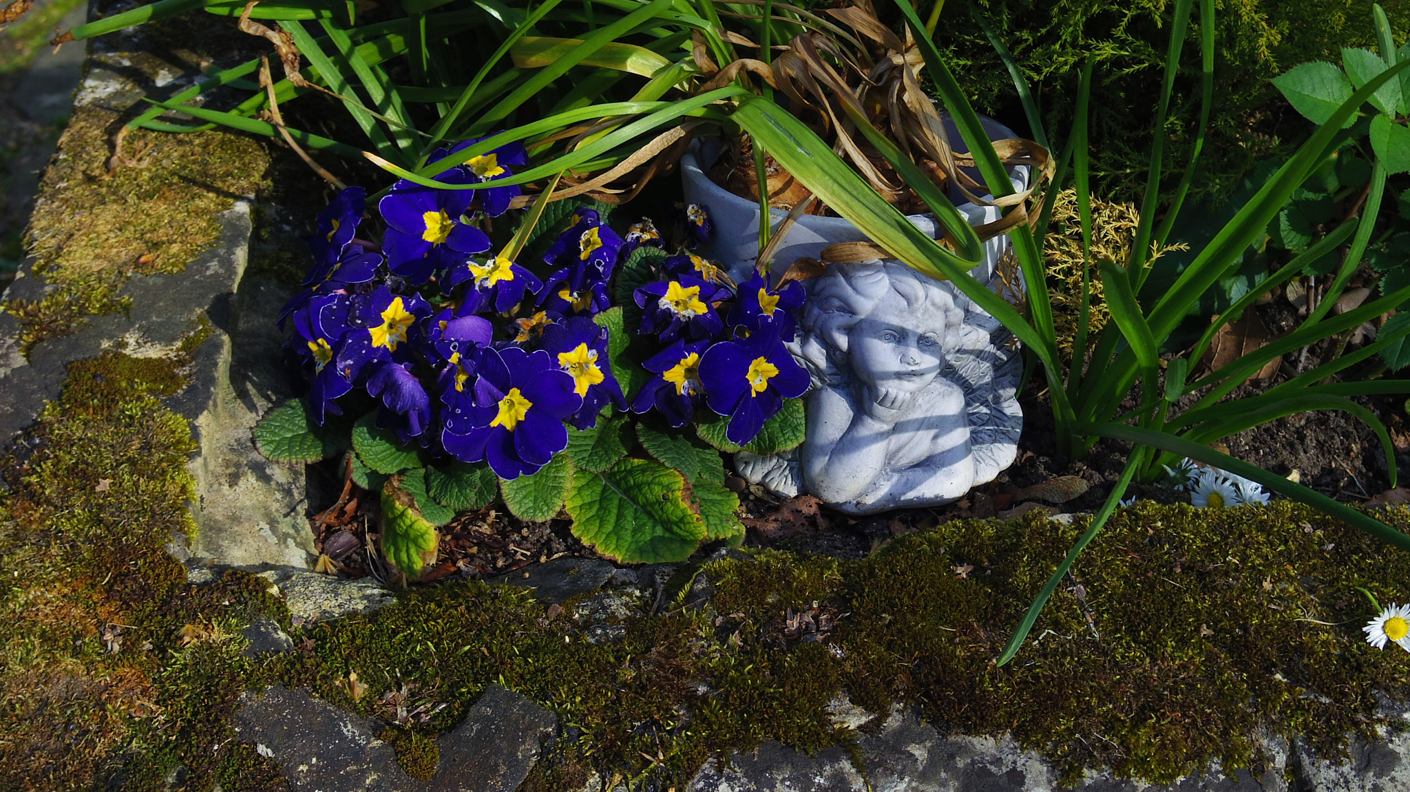 Pentax Q10 + Pentax 01 Standard Prime sample photo. Blue and yellow photography