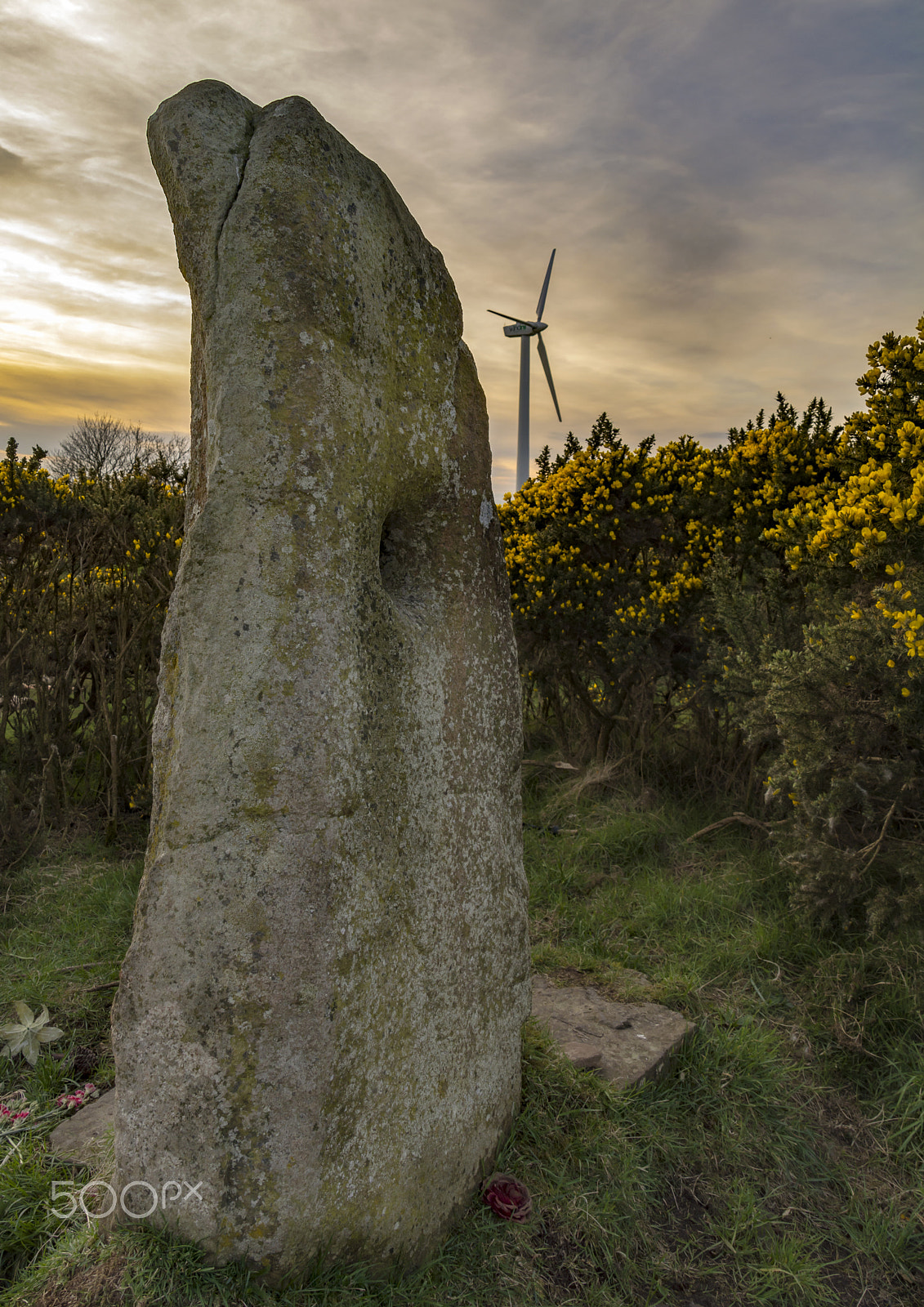 Sigma 28-300mm F3.5-6.3 DG Macro sample photo. Doagh holestone photography