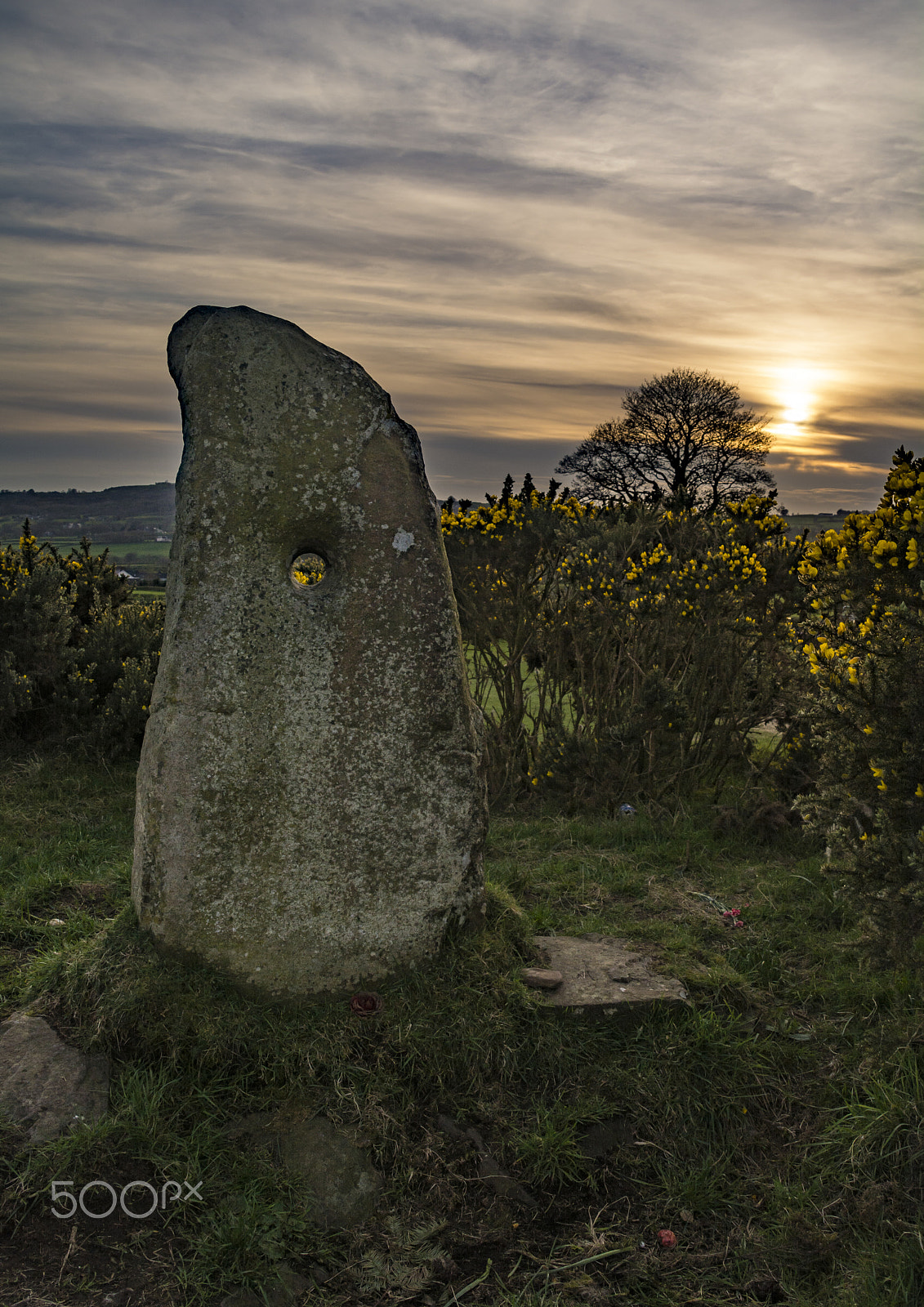 Sigma 28-300mm F3.5-6.3 DG Macro sample photo. Doagh holestone photography