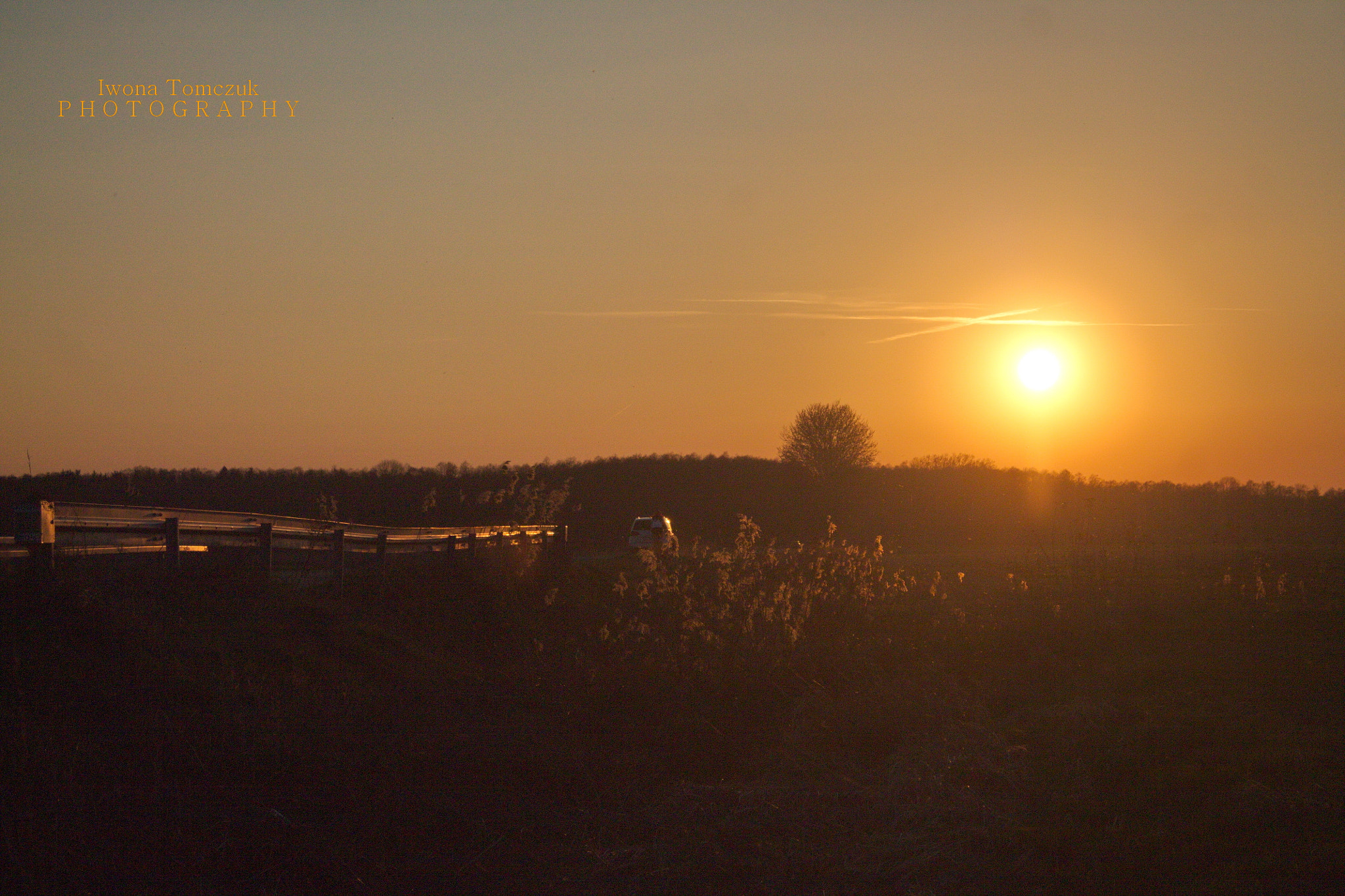 Canon EF-S 18-55mm F3.5-5.6 IS sample photo. Konstancin photography
