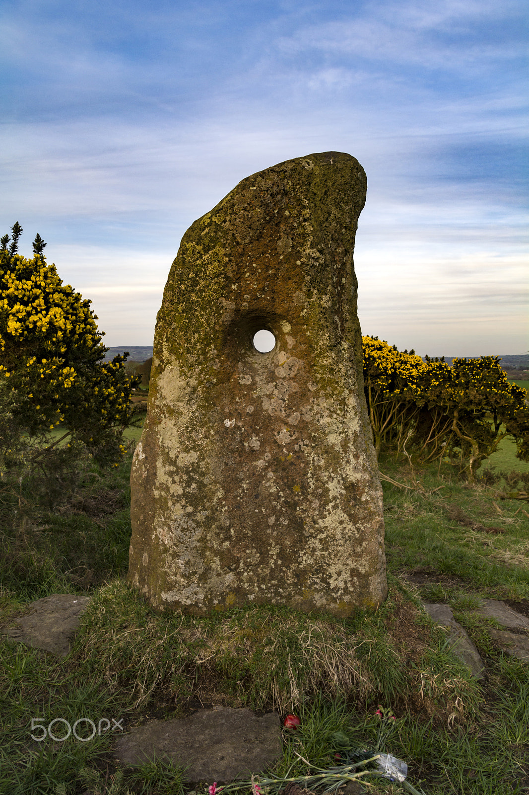 Sigma 28-300mm F3.5-6.3 DG Macro sample photo. Doagh holestone photography