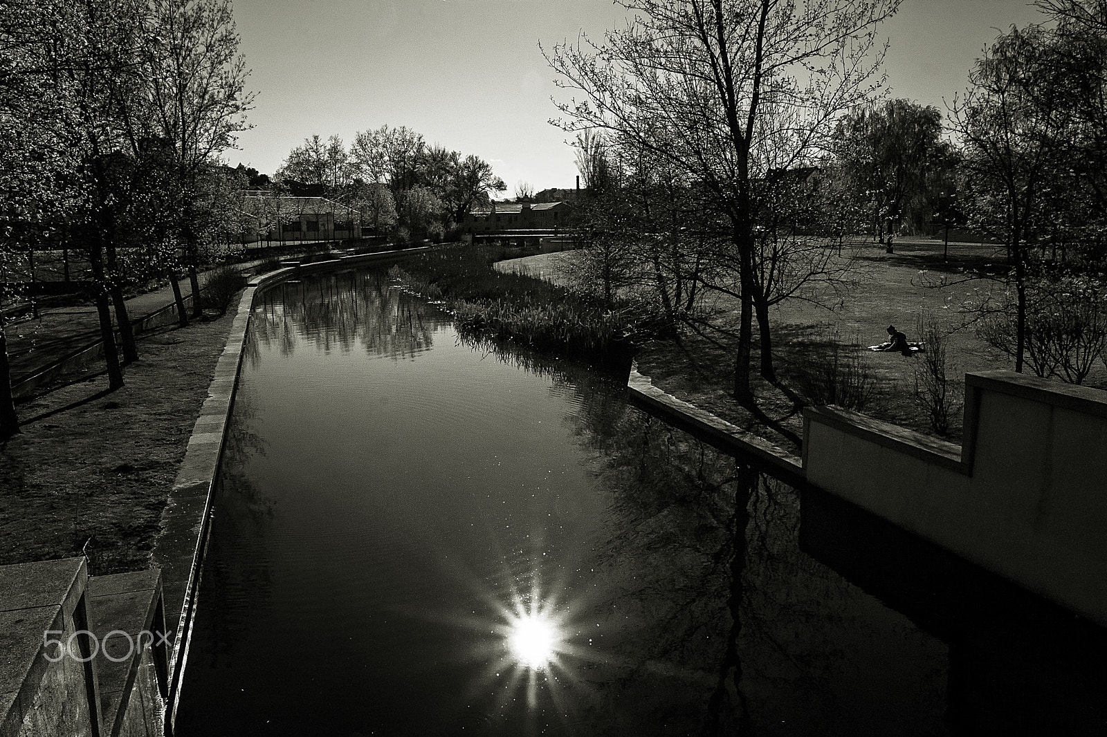 Canon EOS 500D (EOS Rebel T1i / EOS Kiss X3) sample photo. A star fell into the river. photography