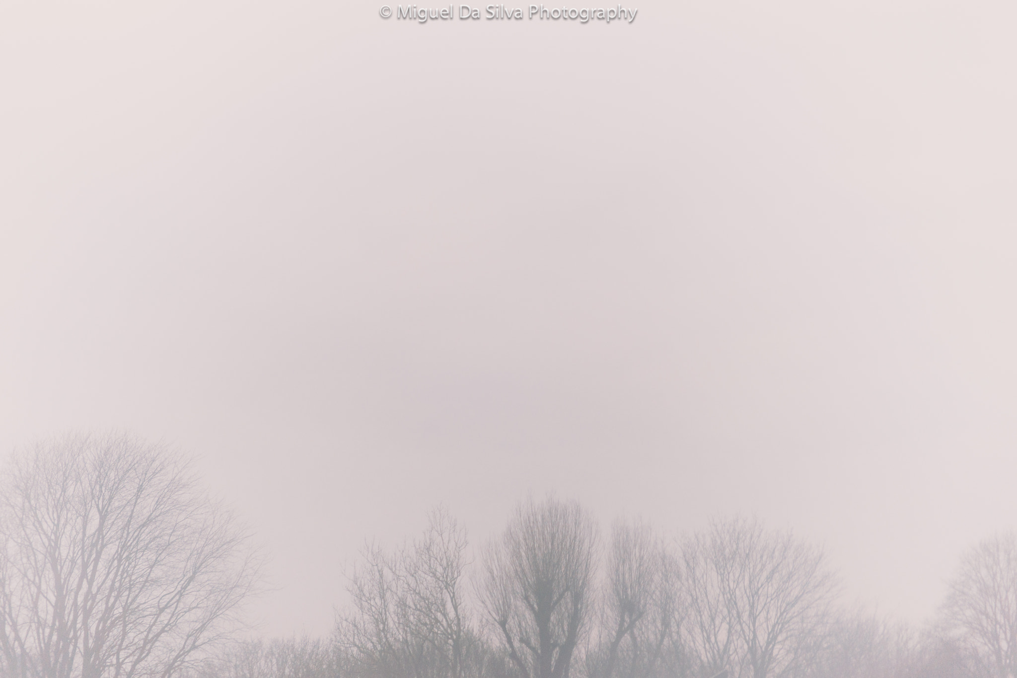 Sony Alpha DSLR-A900 sample photo. Haarlem winter time photography