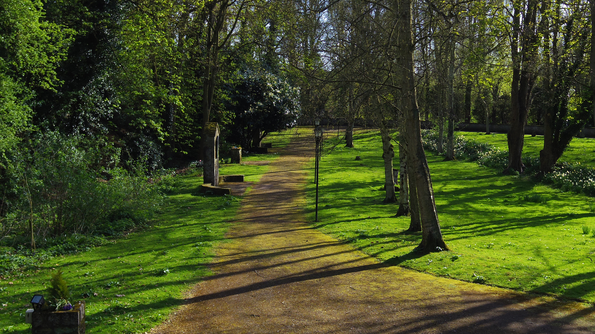 Pentax Q10 + Pentax 01 Standard Prime sample photo. Pathway photography
