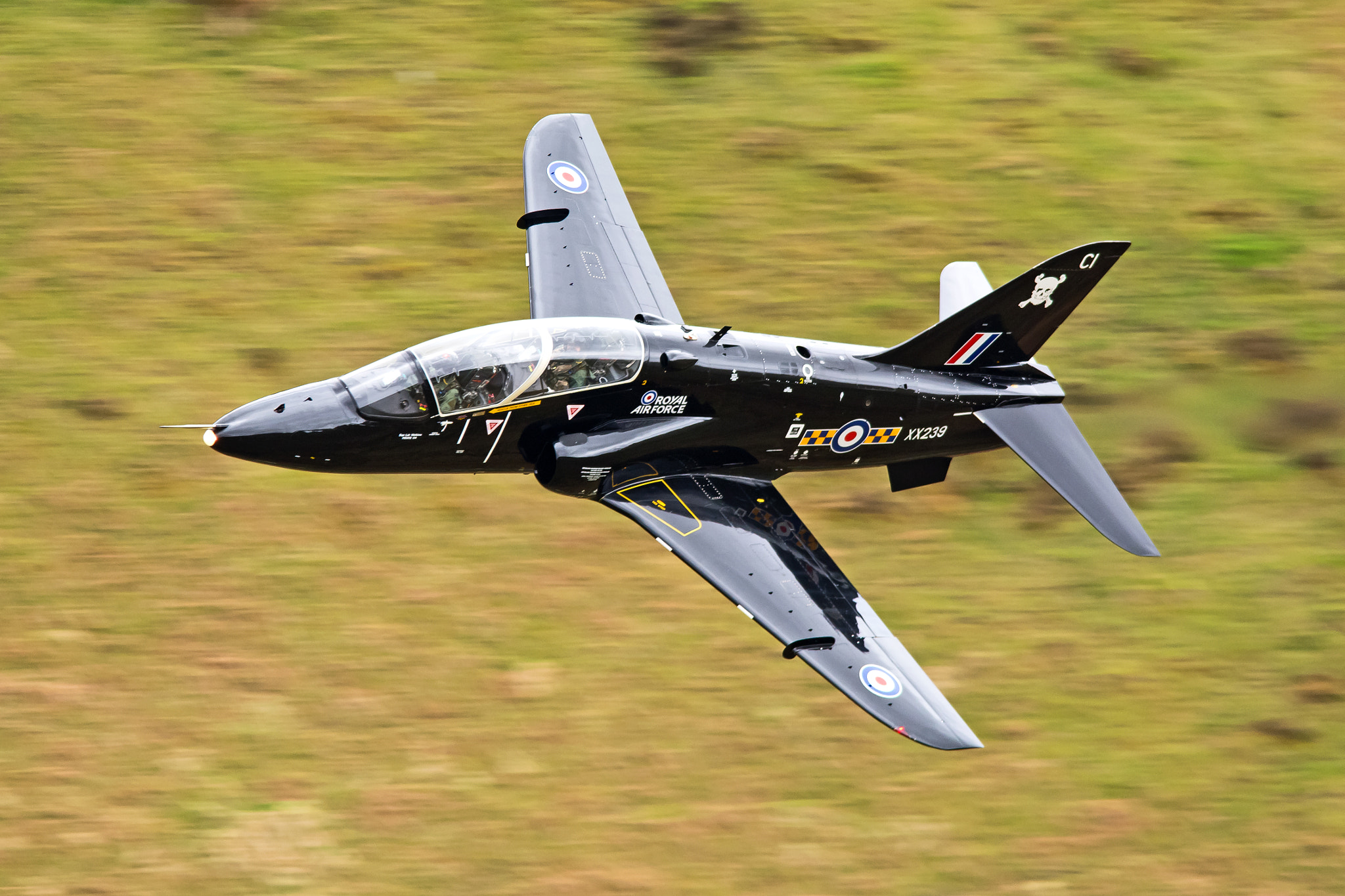Sigma 150-500mm F5-6.3 DG OS HSM sample photo. Bae hawk t1w xx239 at bwlch photography