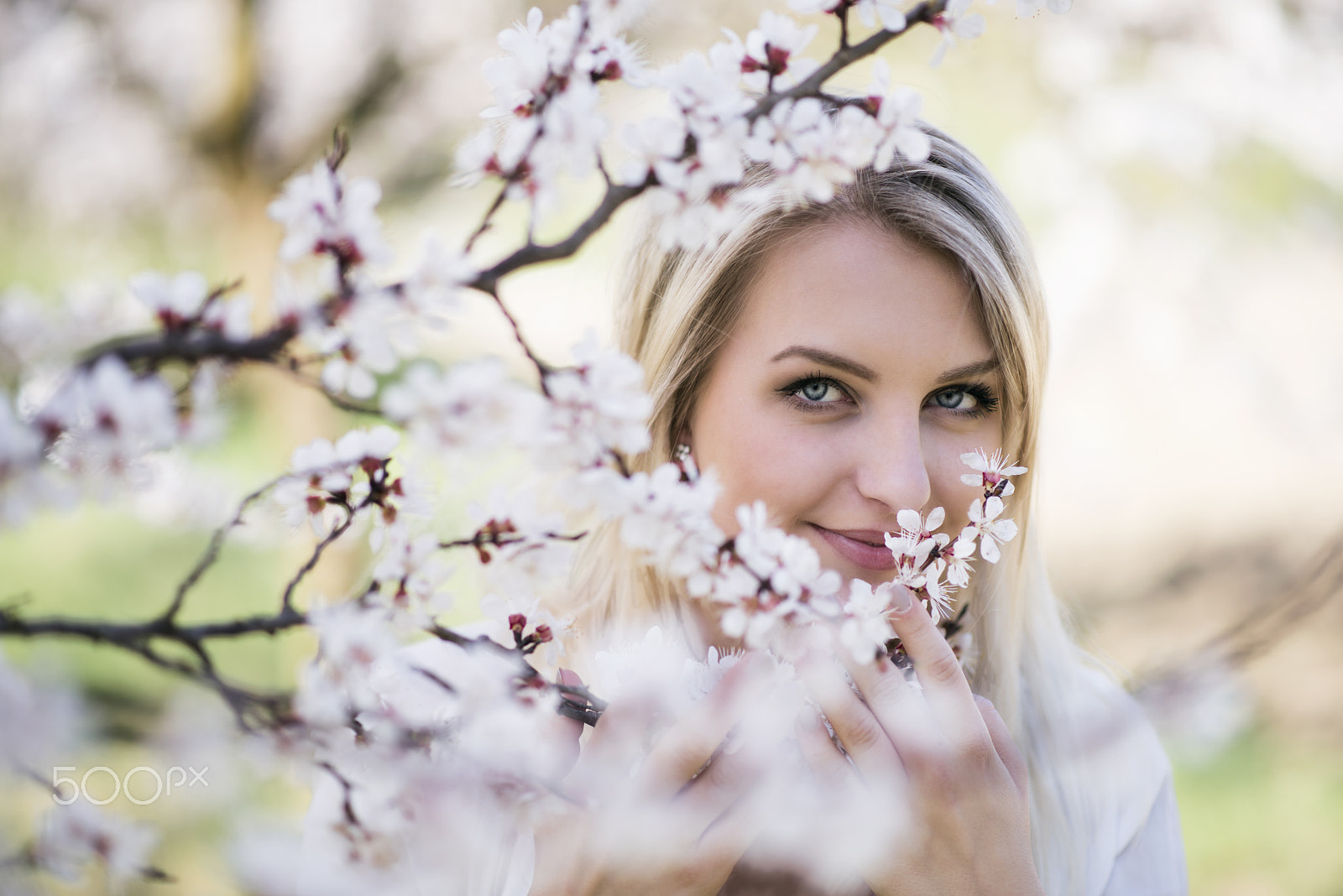 Nikon D810 + Nikon AF-S Nikkor 85mm F1.8G sample photo. It is spring photography