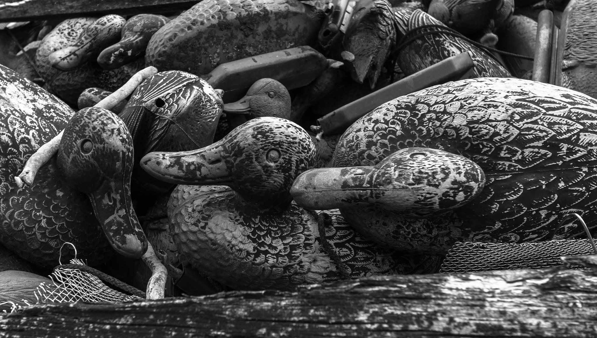 Canon EF-S 10-22mm F3.5-4.5 USM sample photo. Canards photography