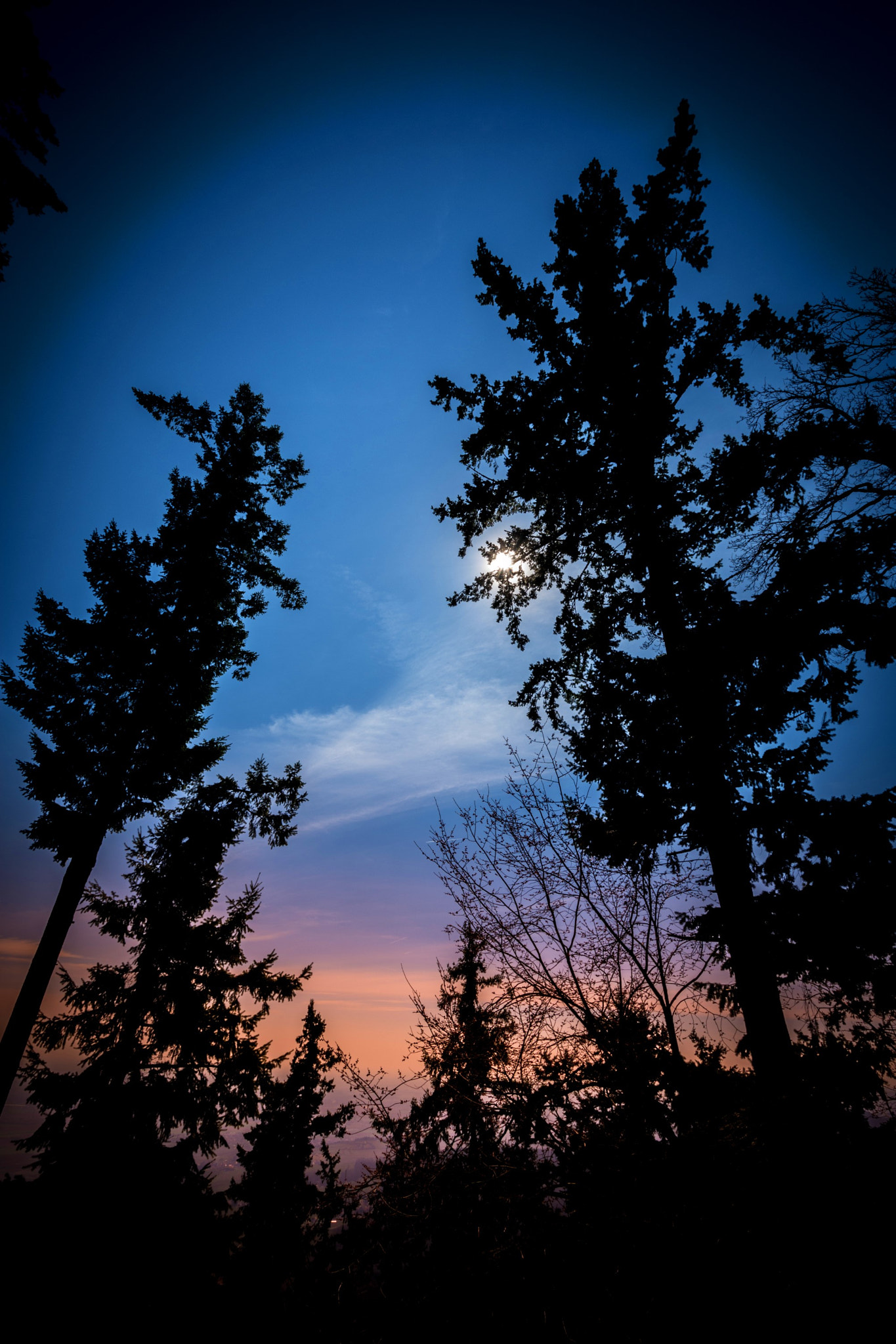 Nikon D7200 sample photo. Shadows photography