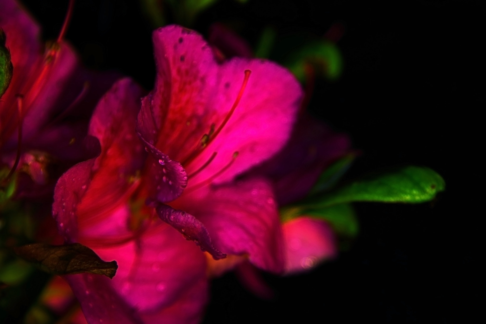 Canon EOS 550D (EOS Rebel T2i / EOS Kiss X4) sample photo. Springtime photography