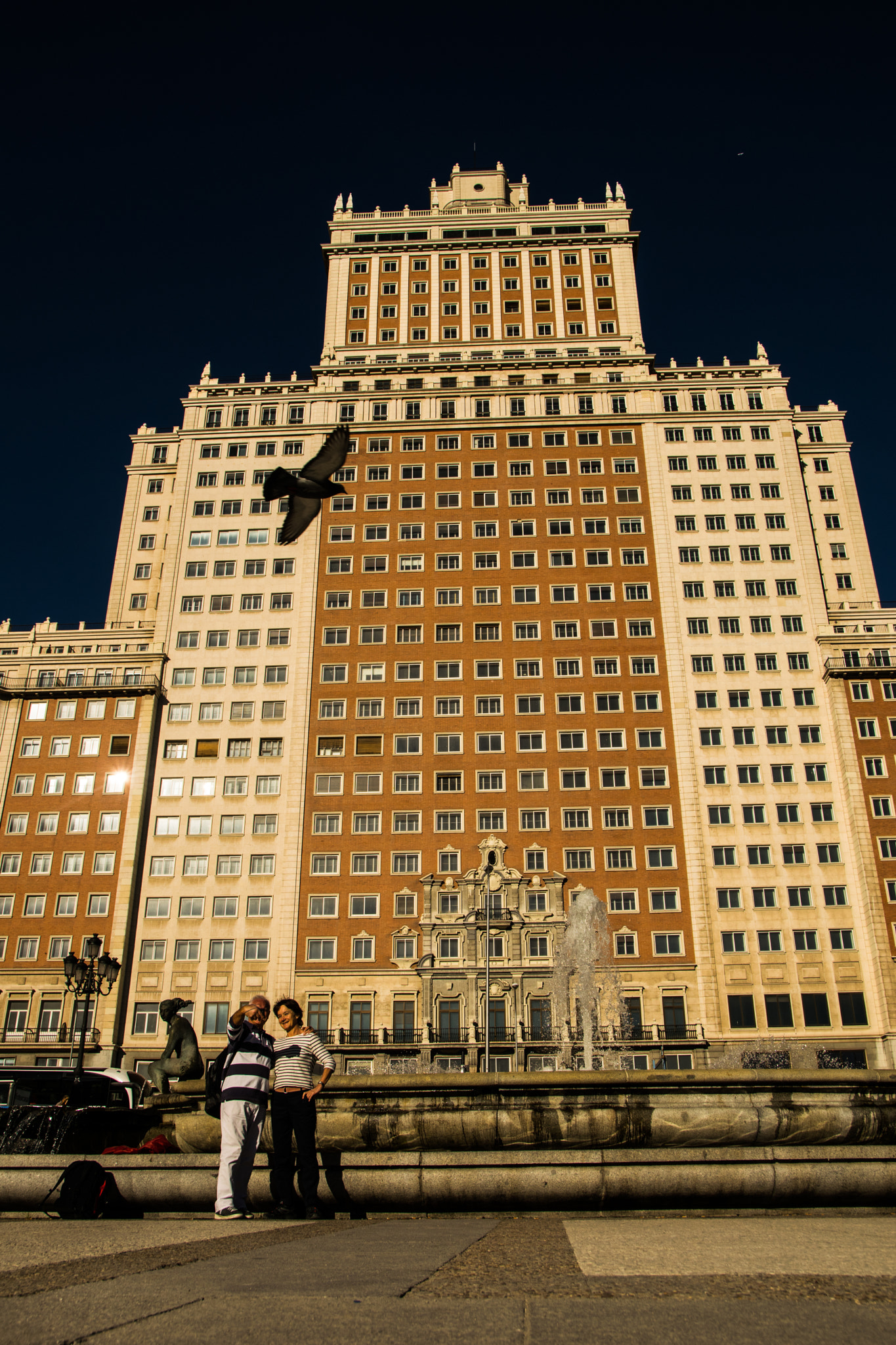 Sigma 17-50mm F2.8 EX DC OS HSM sample photo. The pidgeon and the building photography