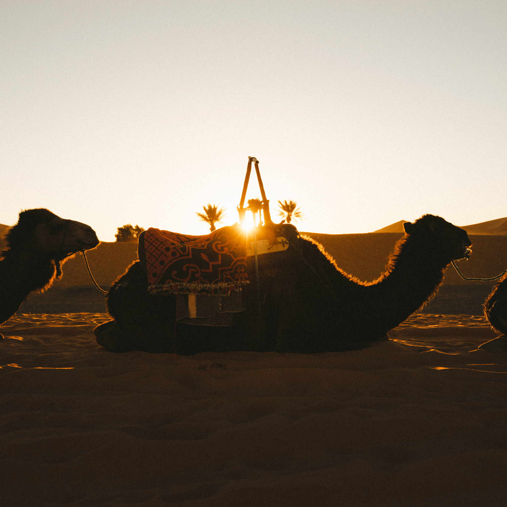 Tamron SP 15-30mm F2.8 Di VC USD sample photo. Sunrise in the desert of merzouga photography