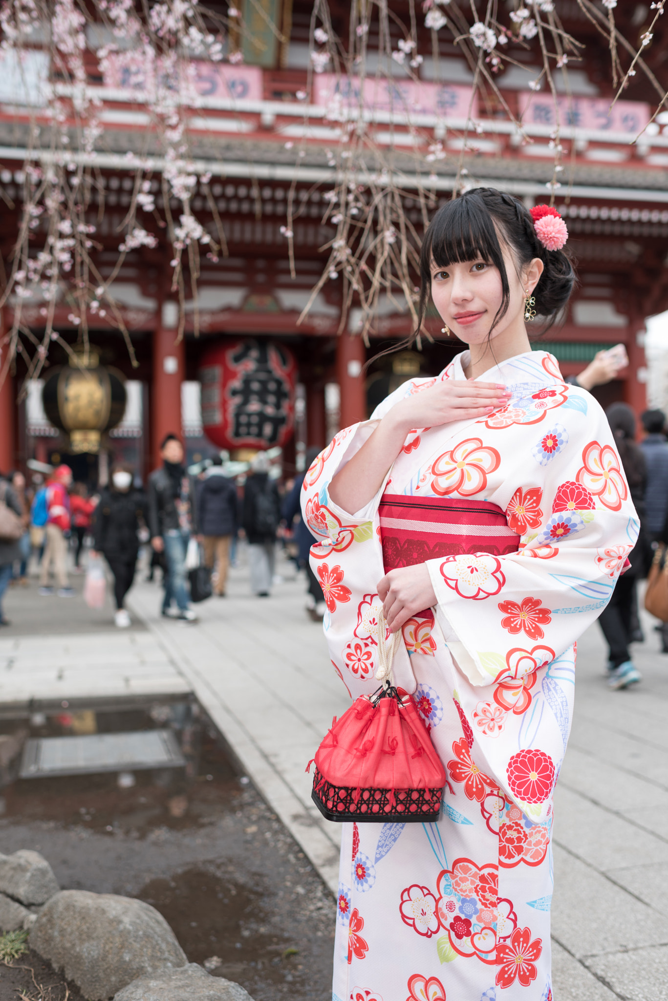 Nikon D750 + Nikon AF-S Nikkor 35mm F1.4G sample photo. Spring in japan photography