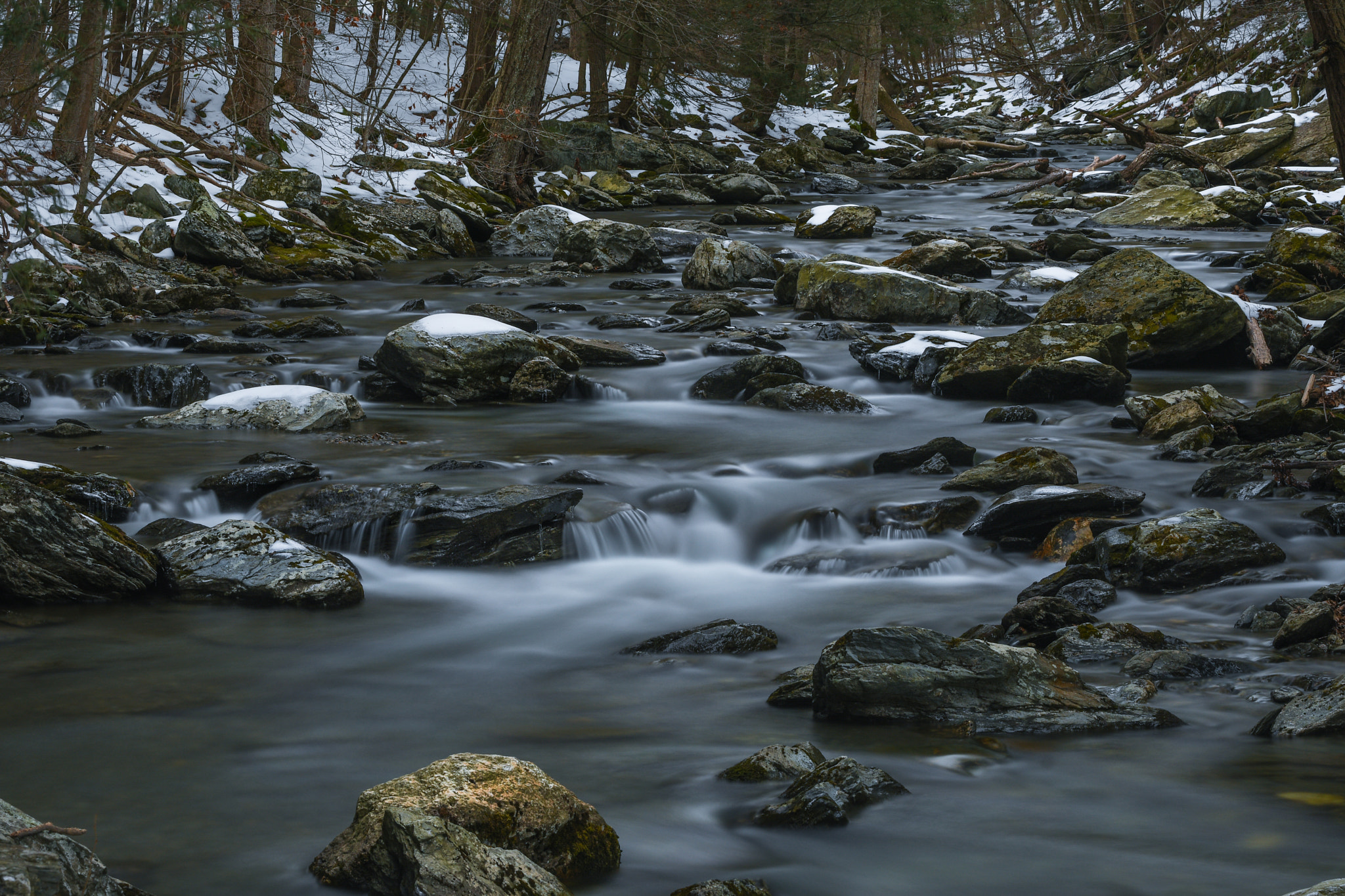 Nikon D500 + Tamron SP 70-200mm F2.8 Di VC USD sample photo. Steady roar photography