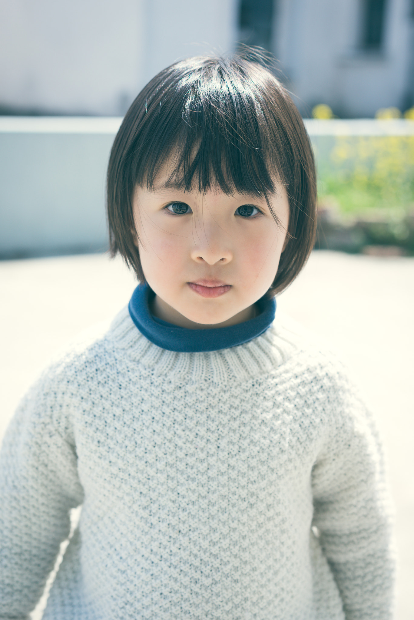 Sony a7R + Sony Sonnar T* FE 55mm F1.8 ZA sample photo