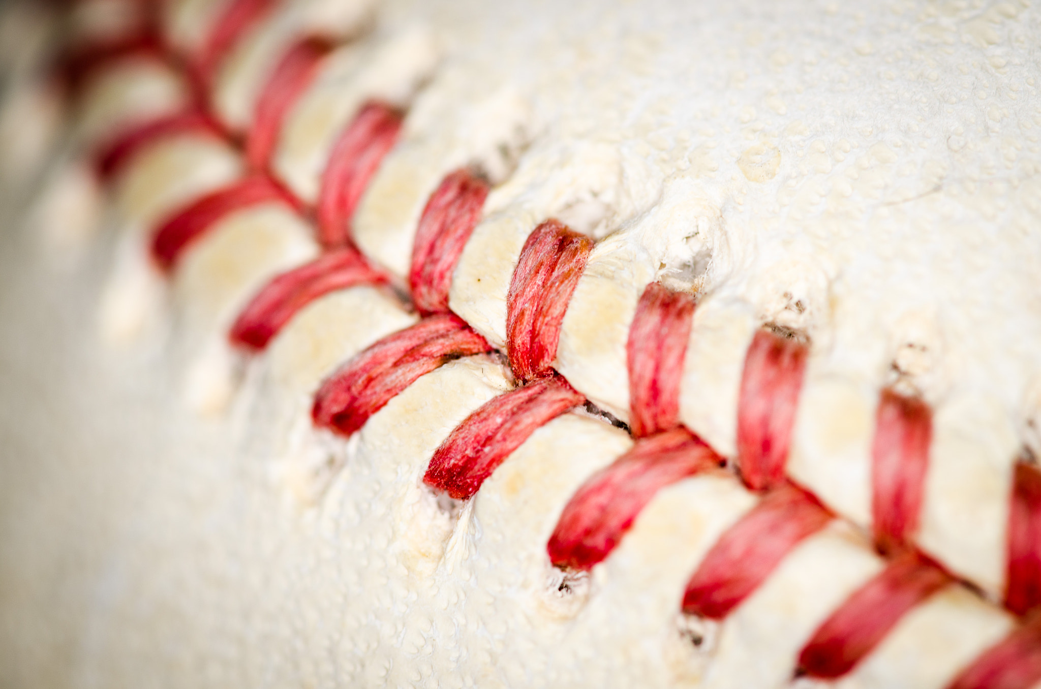 Sigma 105mm F2.8 EX DG OS HSM sample photo. Stitches photography