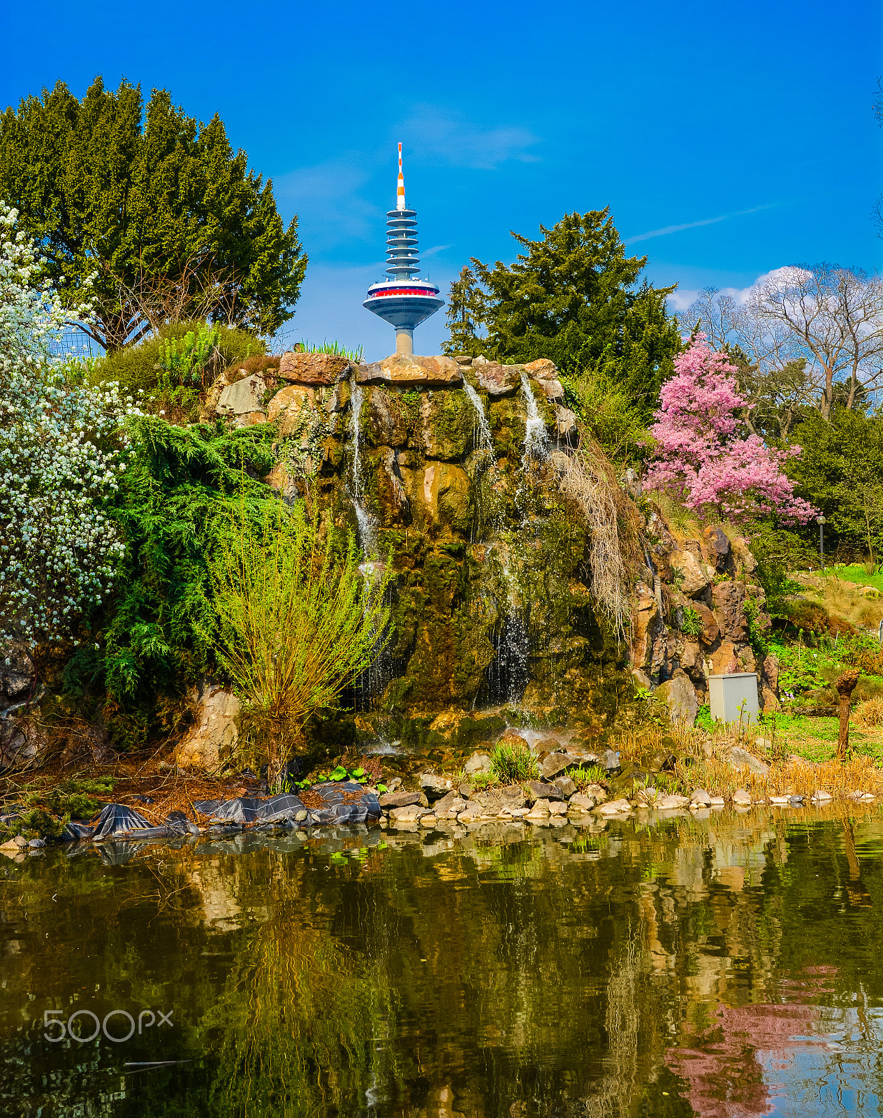 Sigma 18-250mm F3.5-6.3 DC Macro OS HSM sample photo. Parkspective photography