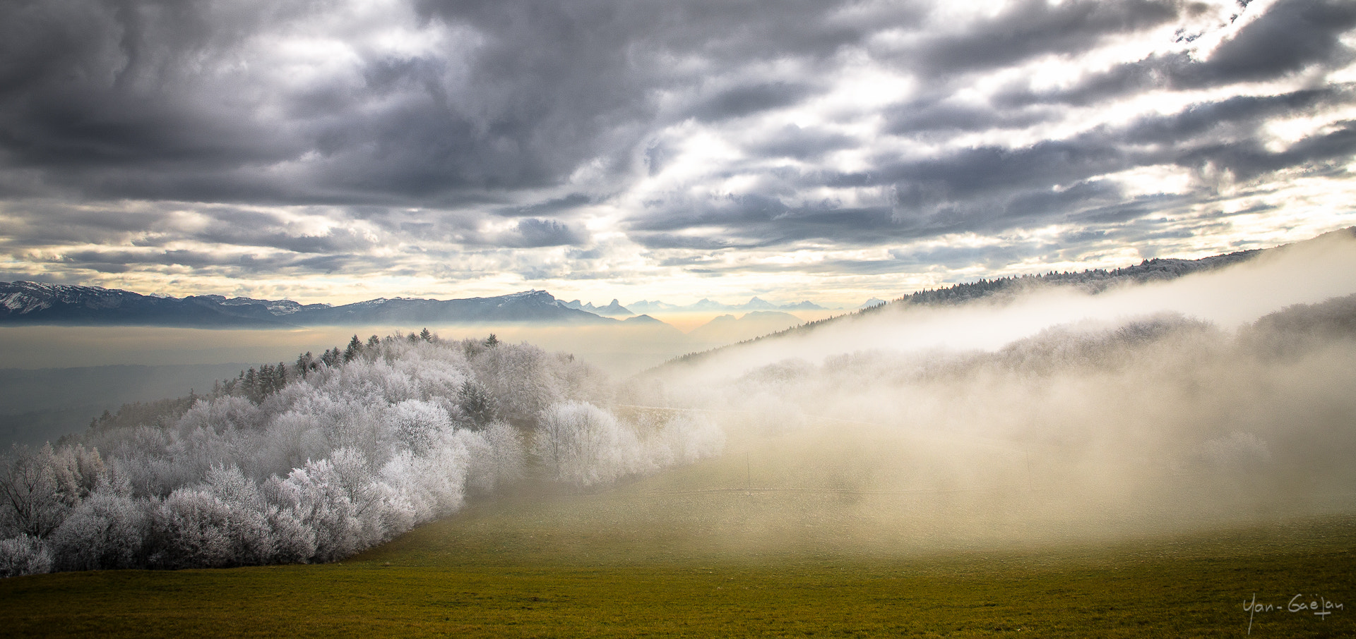 Nikon D7000 sample photo. Rising fog photography