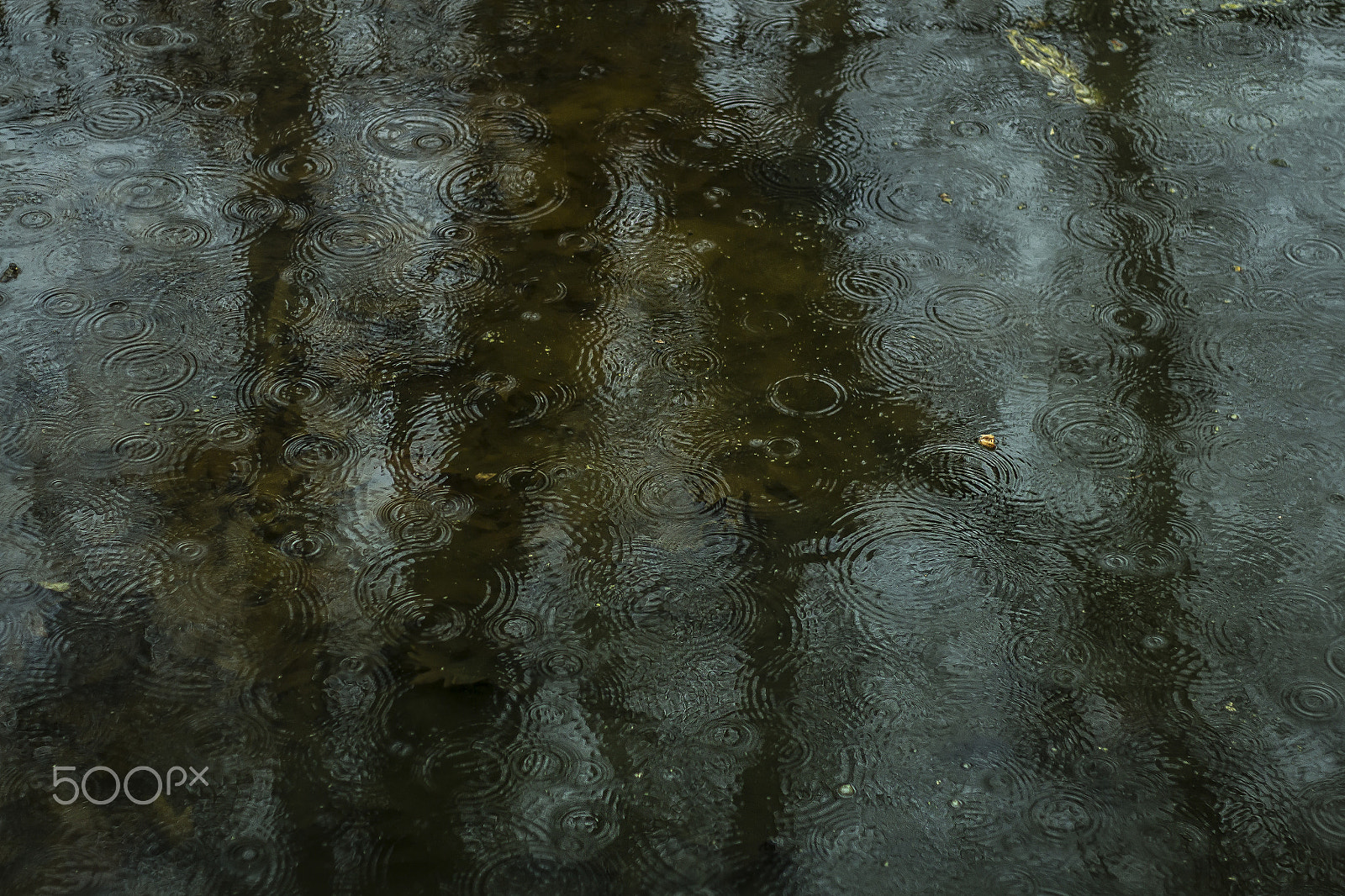 Canon EOS 650D (EOS Rebel T4i / EOS Kiss X6i) sample photo. Reflection of rain photography