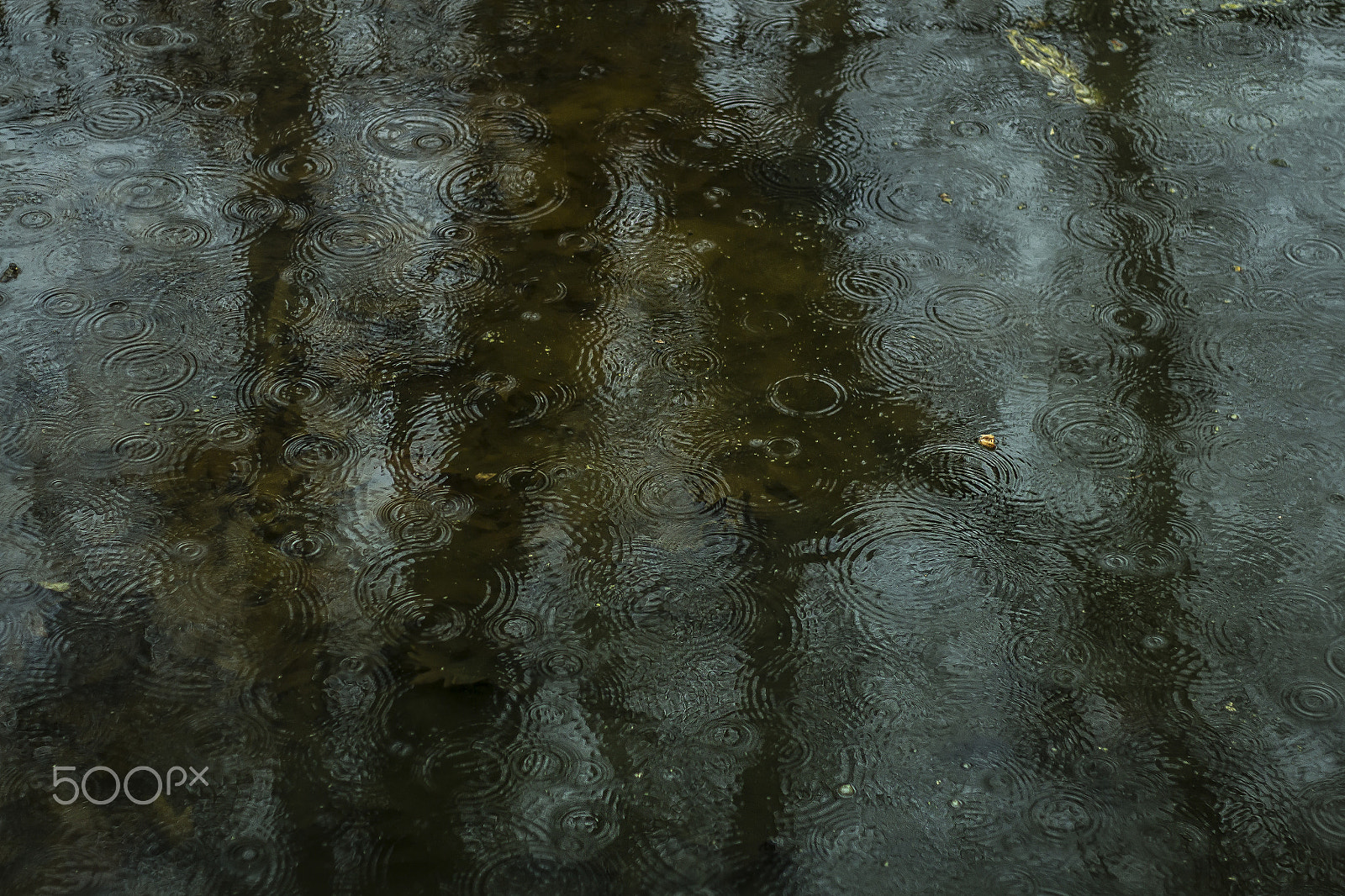 Canon EOS 650D (EOS Rebel T4i / EOS Kiss X6i) + Canon EF 50mm F1.8 II sample photo. Reflection of rain photography