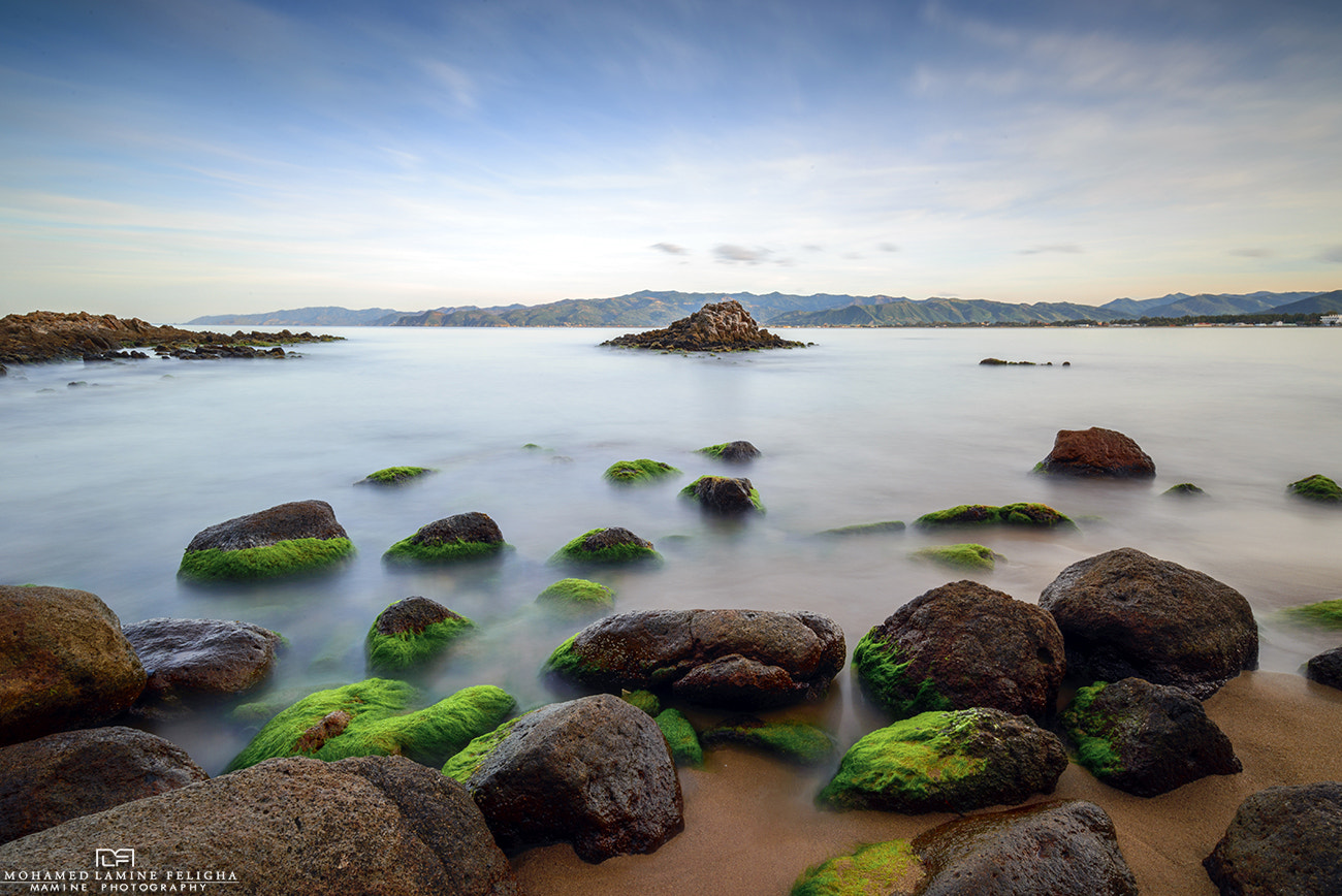 Nikon AF-S Nikkor 18-35mm F3.5-4.5G ED sample photo. *-* photography