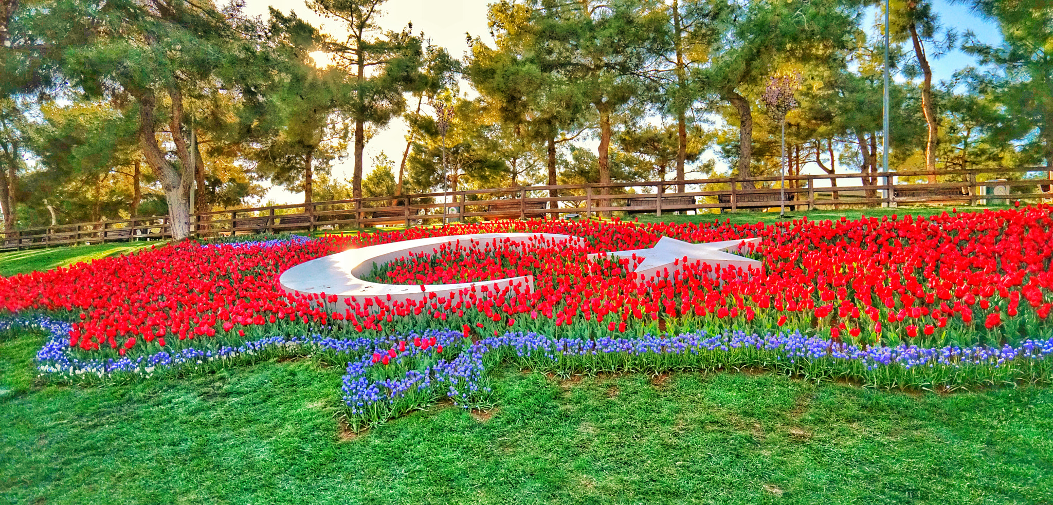 Sony Vario-Tessar T* FE 16-35mm F4 ZA OSS sample photo. Tulip map of turkey photography