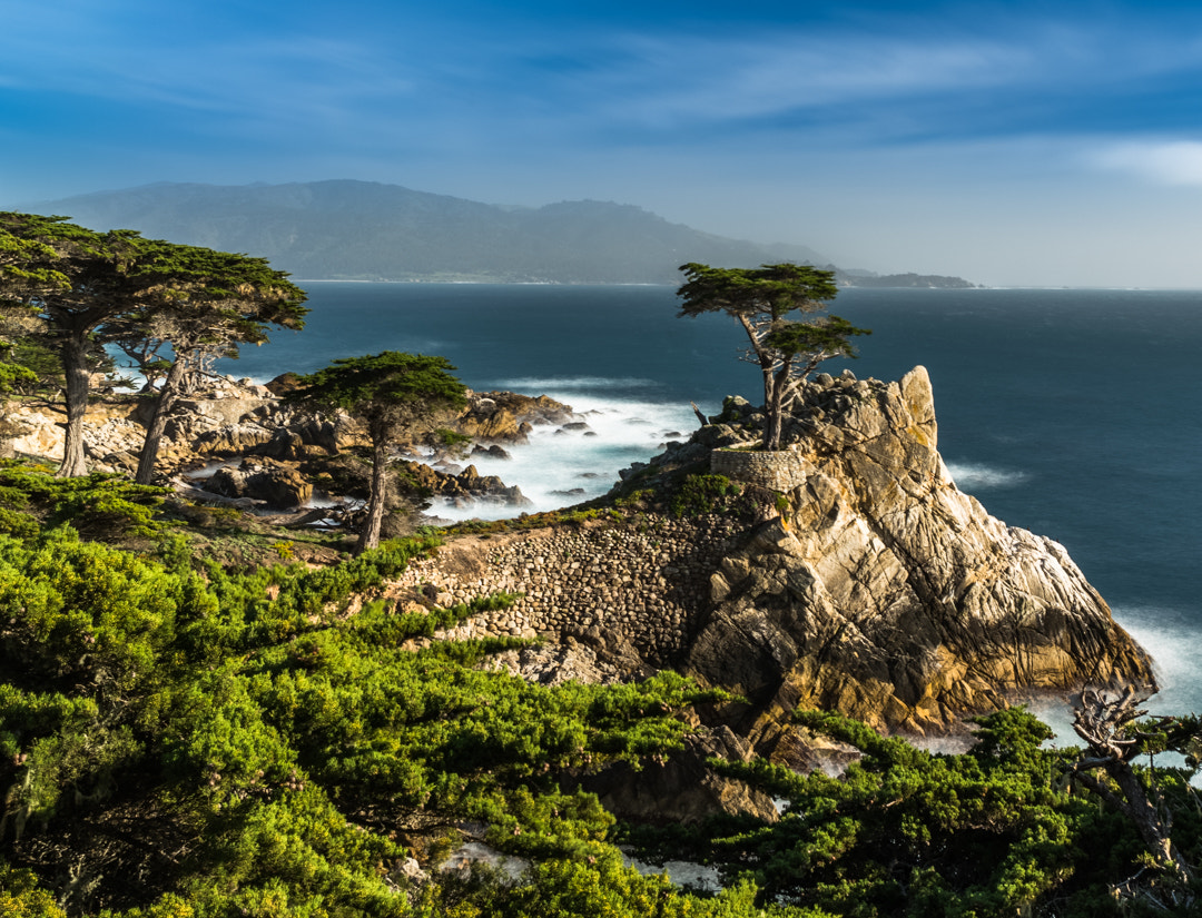 Sony a7R II sample photo. The lone cypress photography