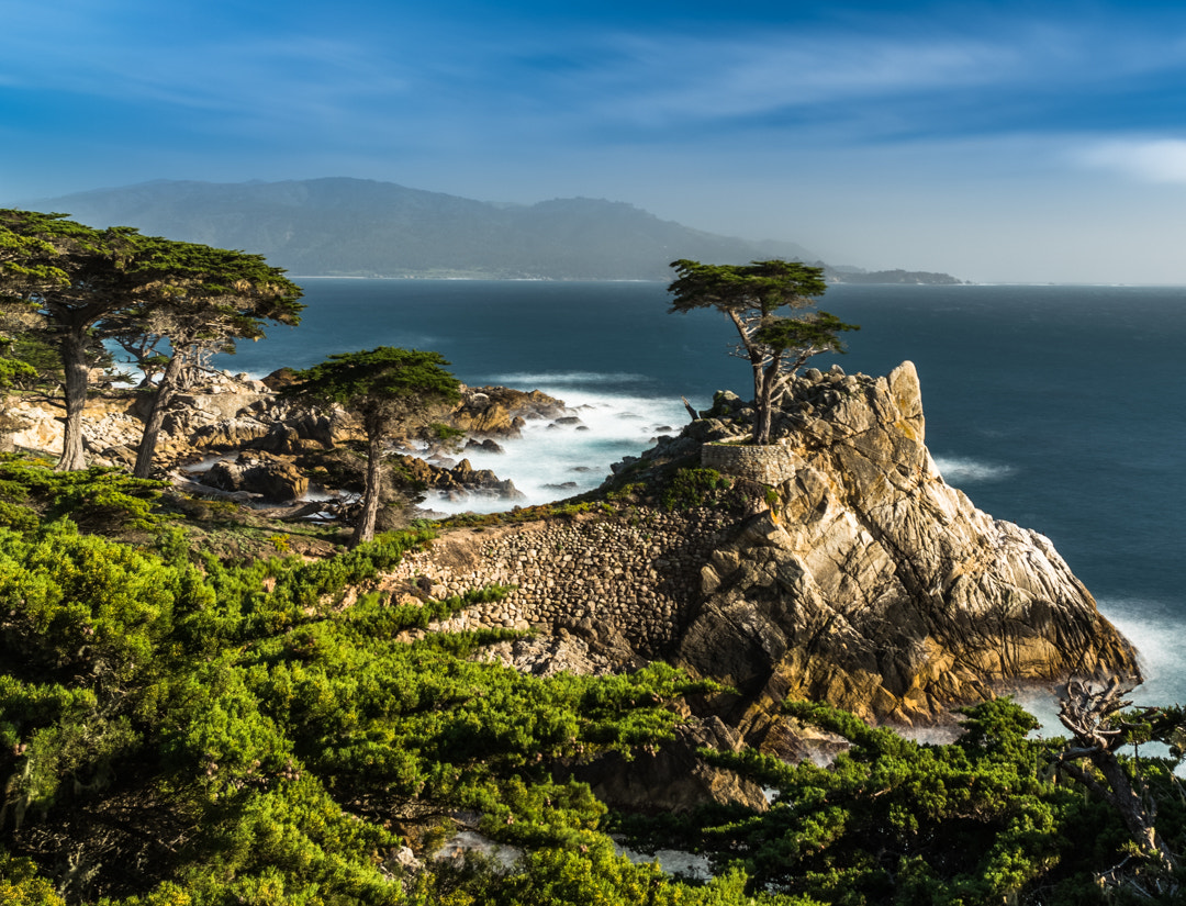 Sony a7R II + E 21mm F2.8 sample photo. The lone cypress photography