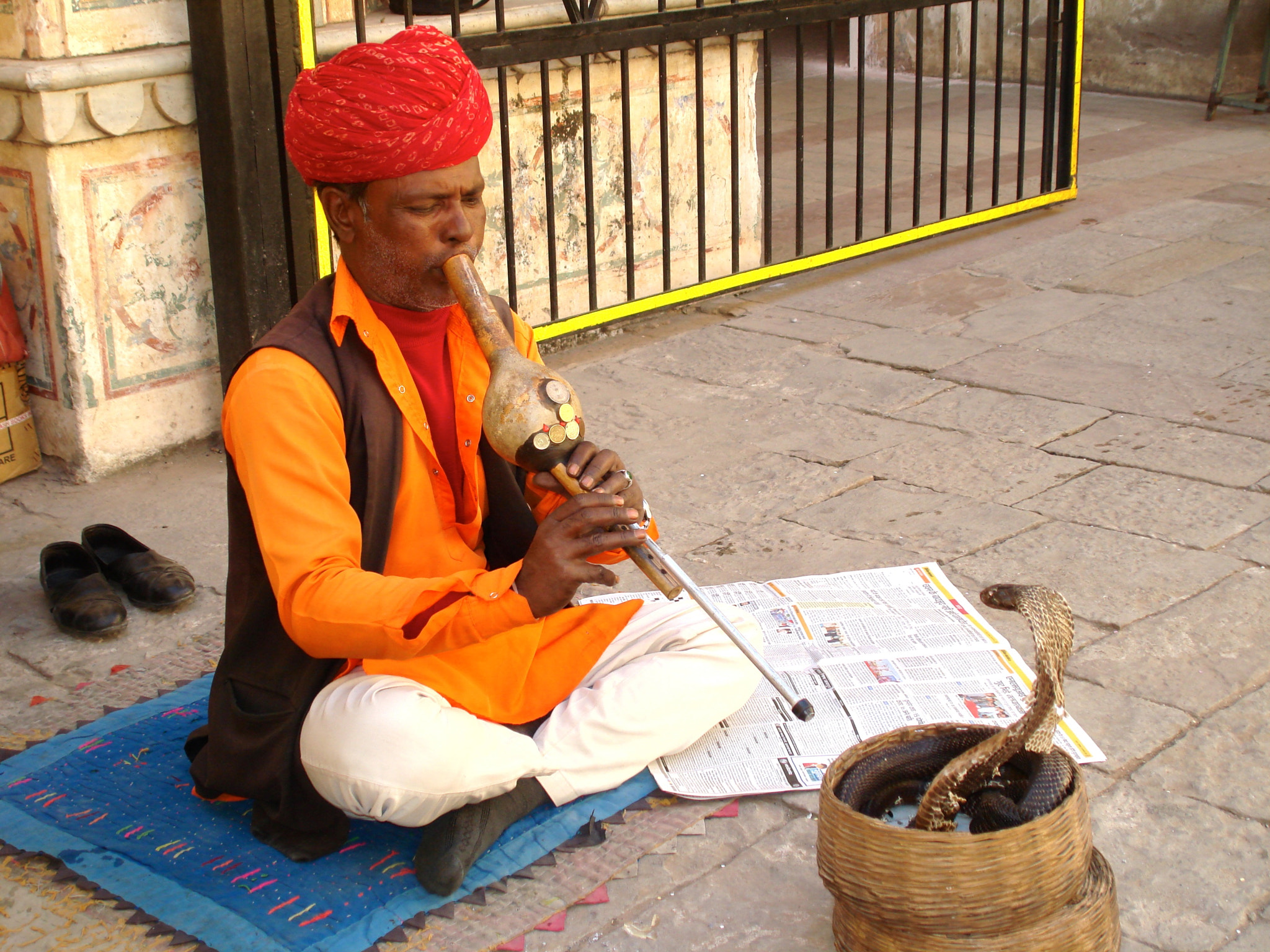 Sony DSC-W100 sample photo. Snake charmer photography