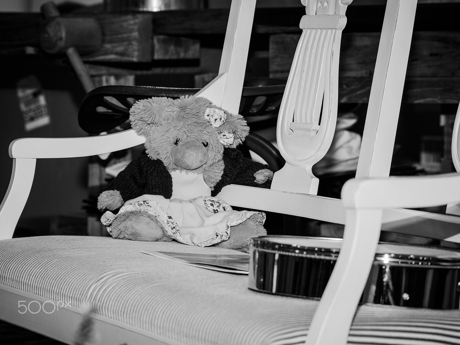 Canon EOS 1300D (EOS Rebel T6 / EOS Kiss X80) sample photo. Little bear photography
