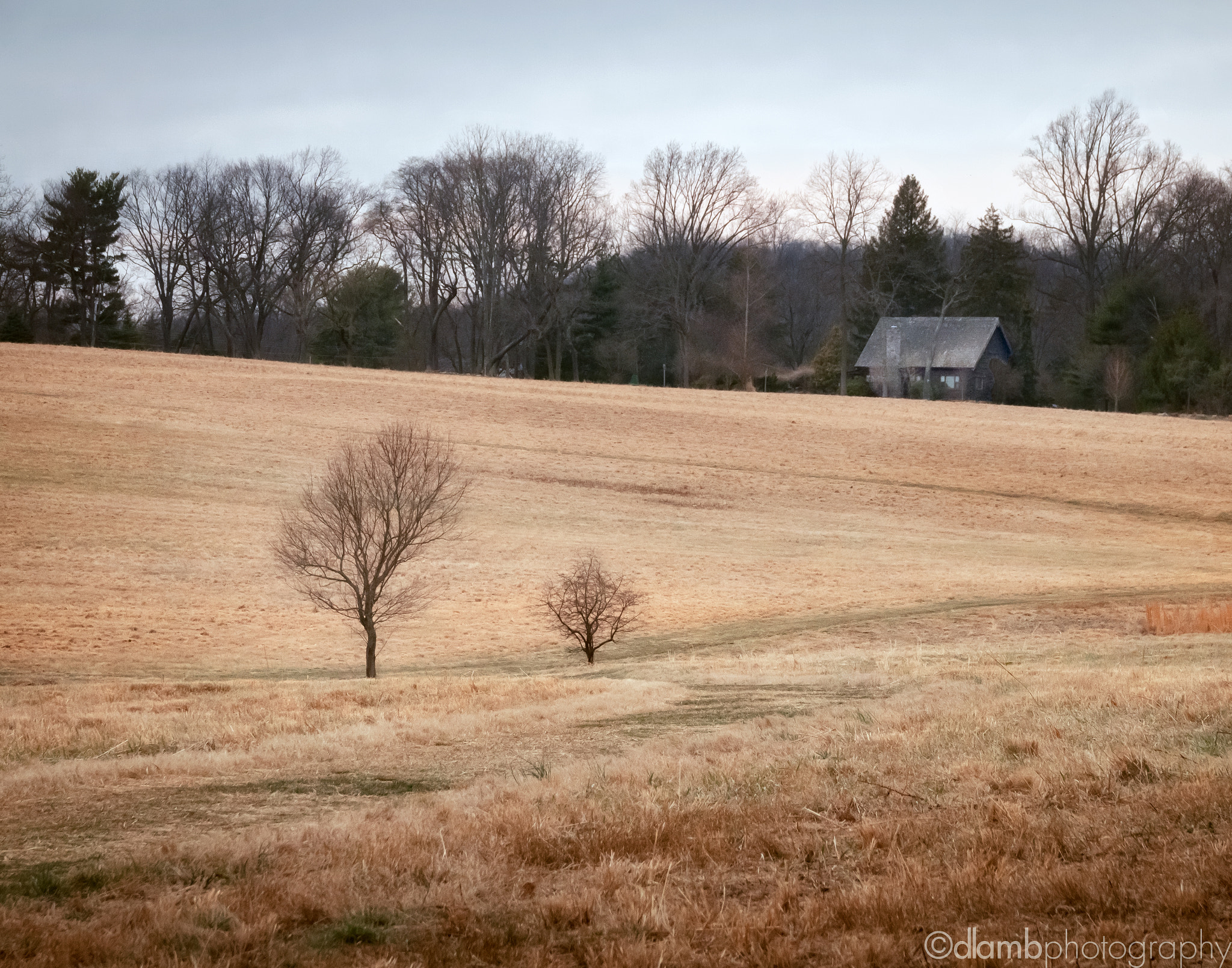 Sigma 18-250mm F3.5-6.3 DC OS HSM sample photo. Nearest  neighbors photography